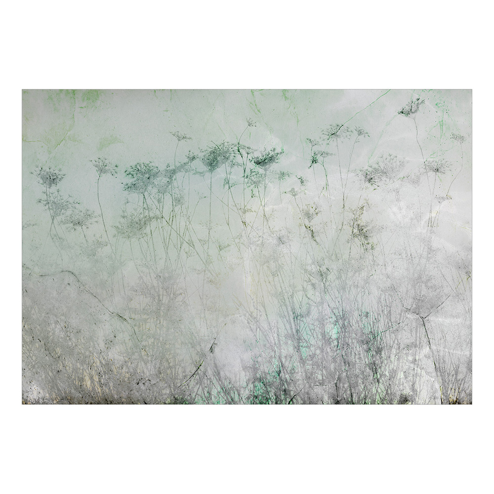 Självhäftande fototapet - Indian Summer - First Variant 98x7 Storlek: 98x70 cm