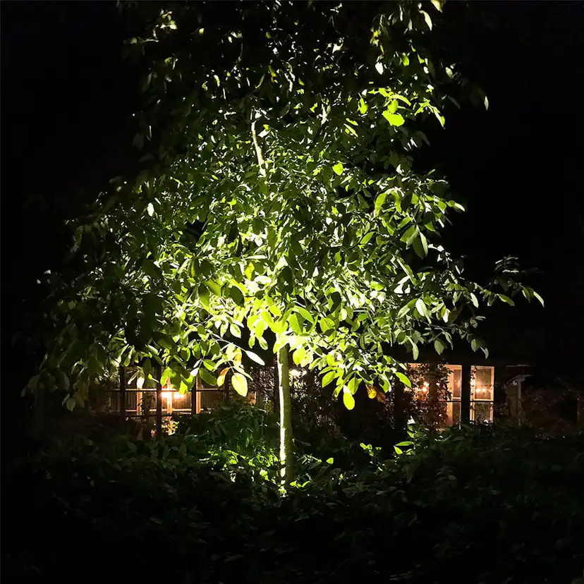 In-ground spot LightsOn Onyx