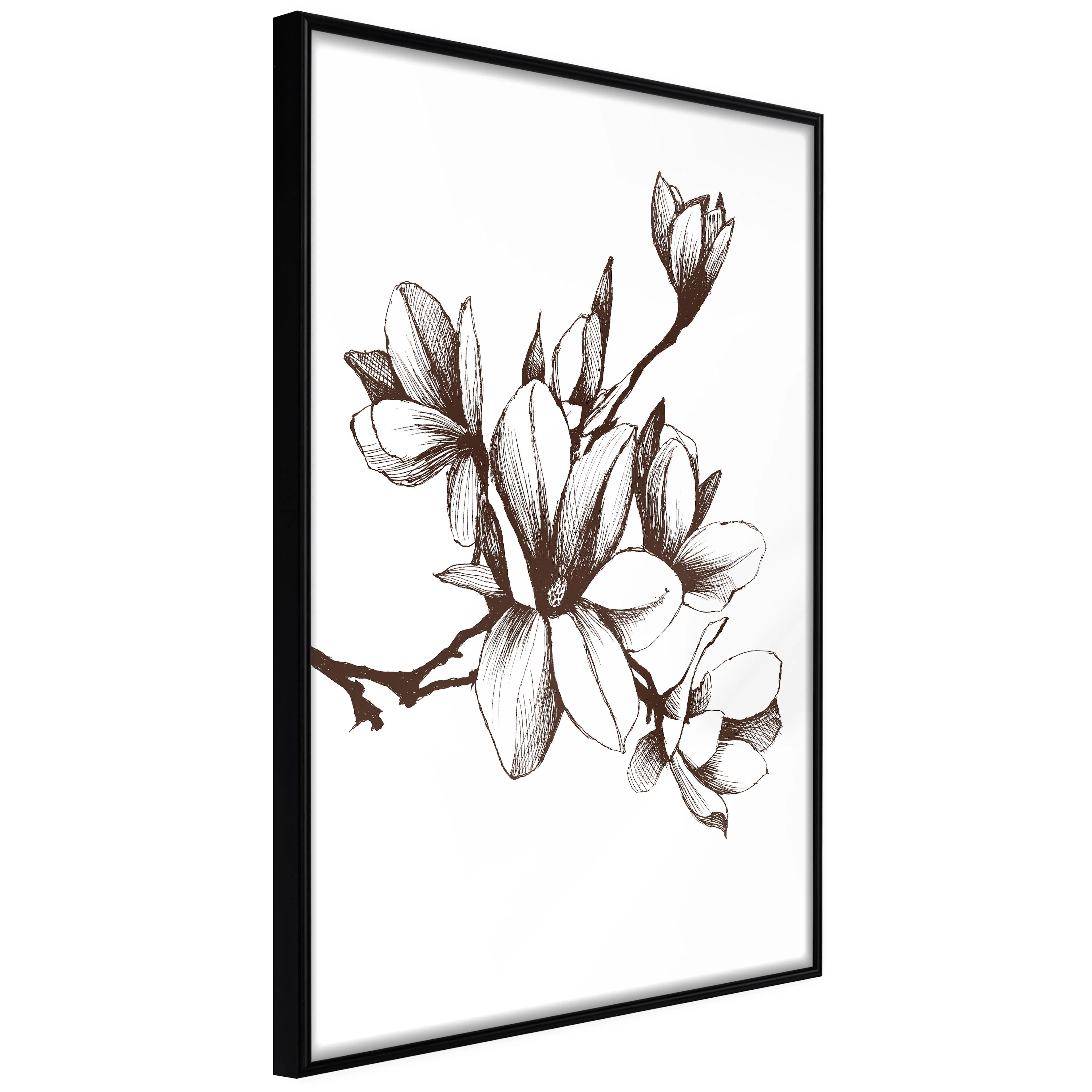 Affisch - Renaissance Magnolias [Poster] 20x30 Svart ram, 20x30 cm