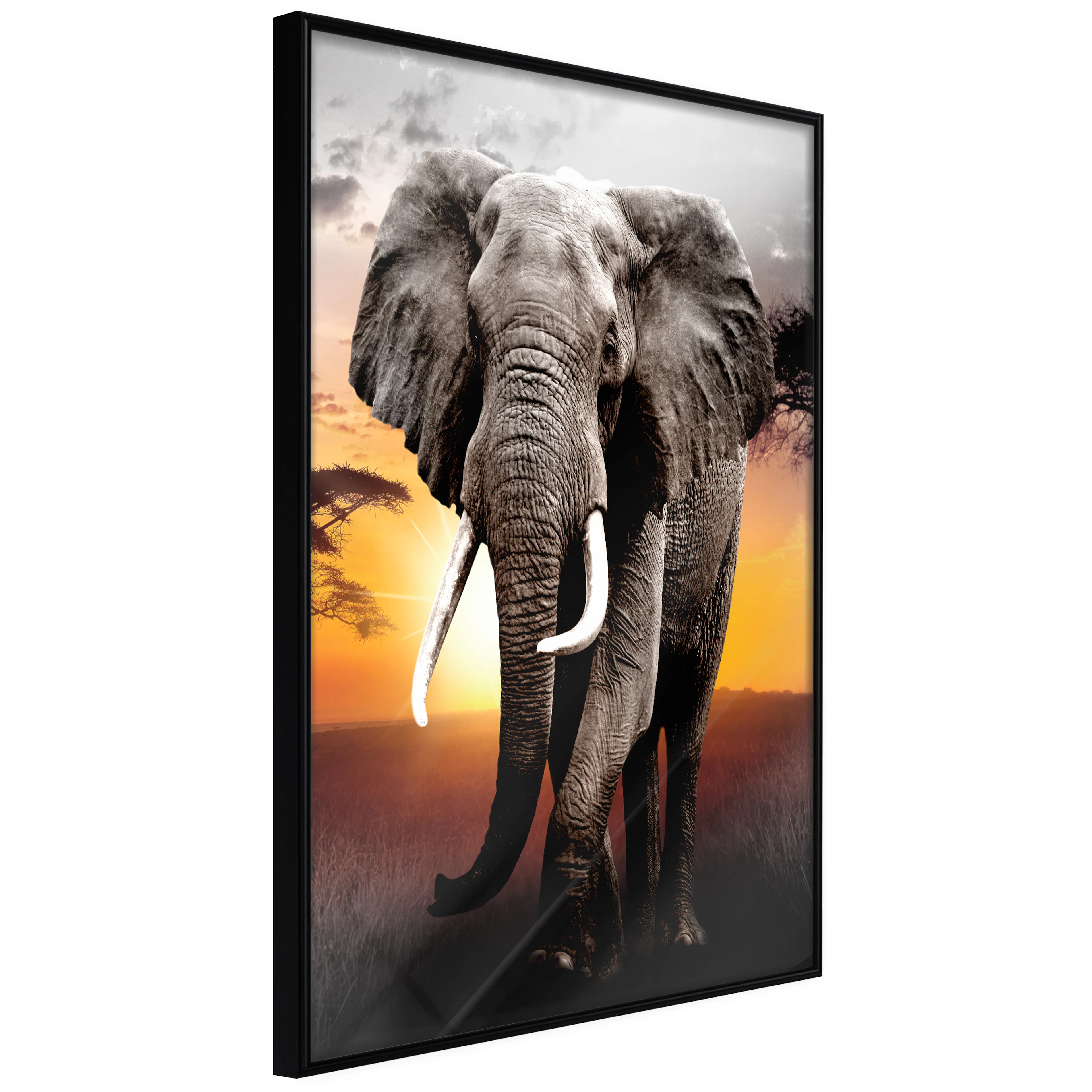 Affisch - Warm Savanna [Poster] 30x45 Svart ram, 30x45 cm