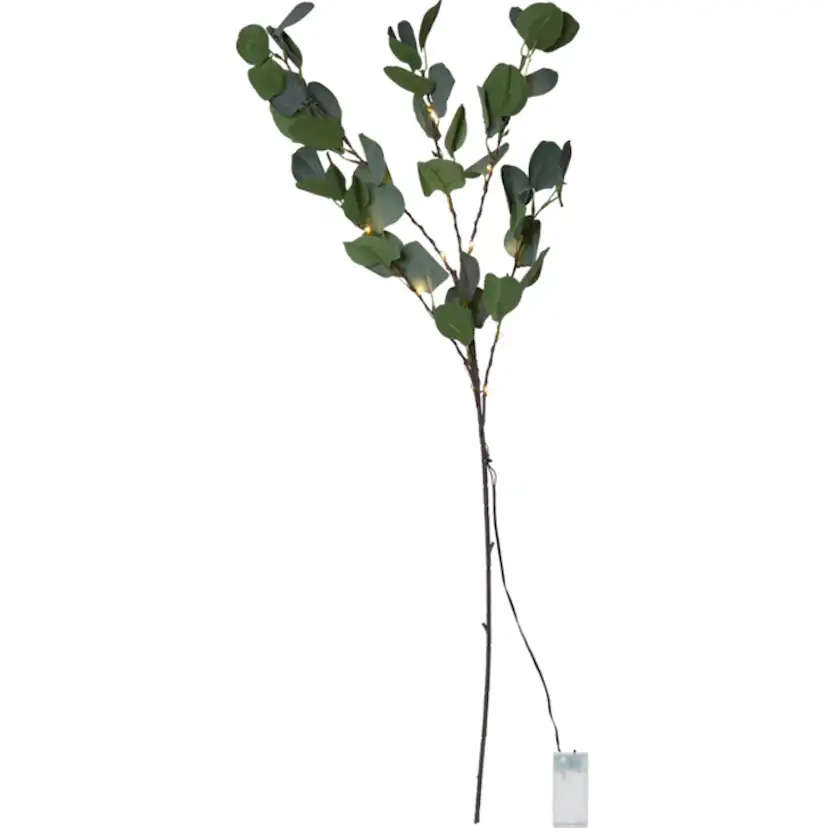 Dekorationskvist Star Trading Eucalyptus