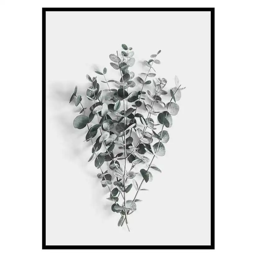 Poster Gallerix Eucalyptus No5
