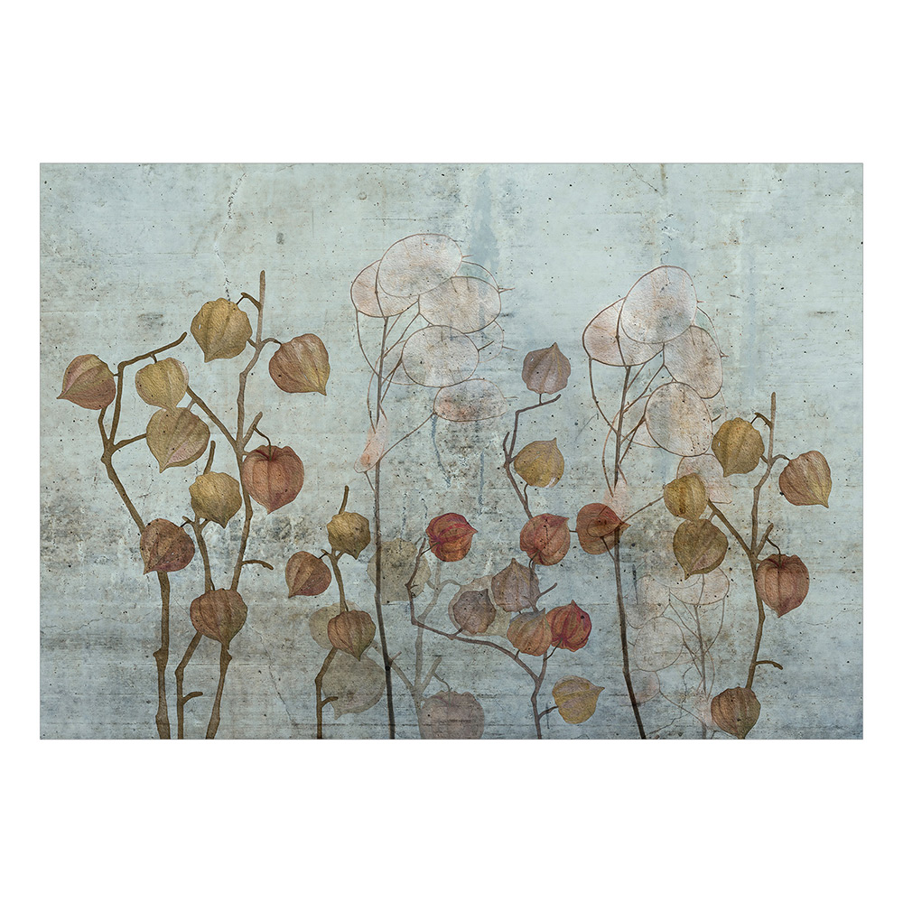 Fototapet Arkiio Självhäftande Painted Lunaria