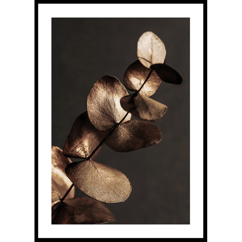 Poster Gallerix Eucalyptus Gold & Brown