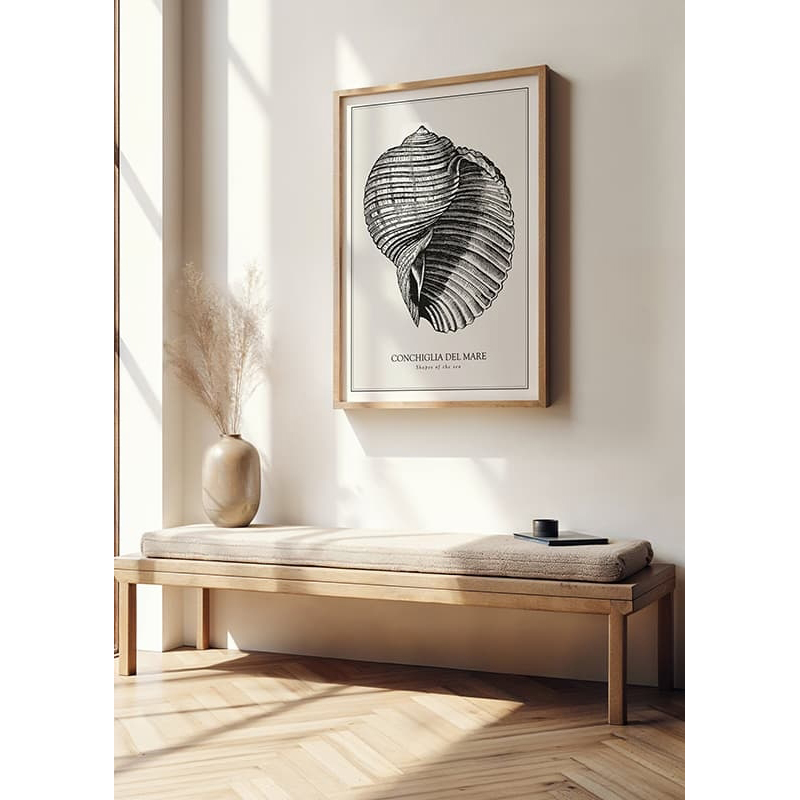 Poster Gallerix Conchiglia Del Mare