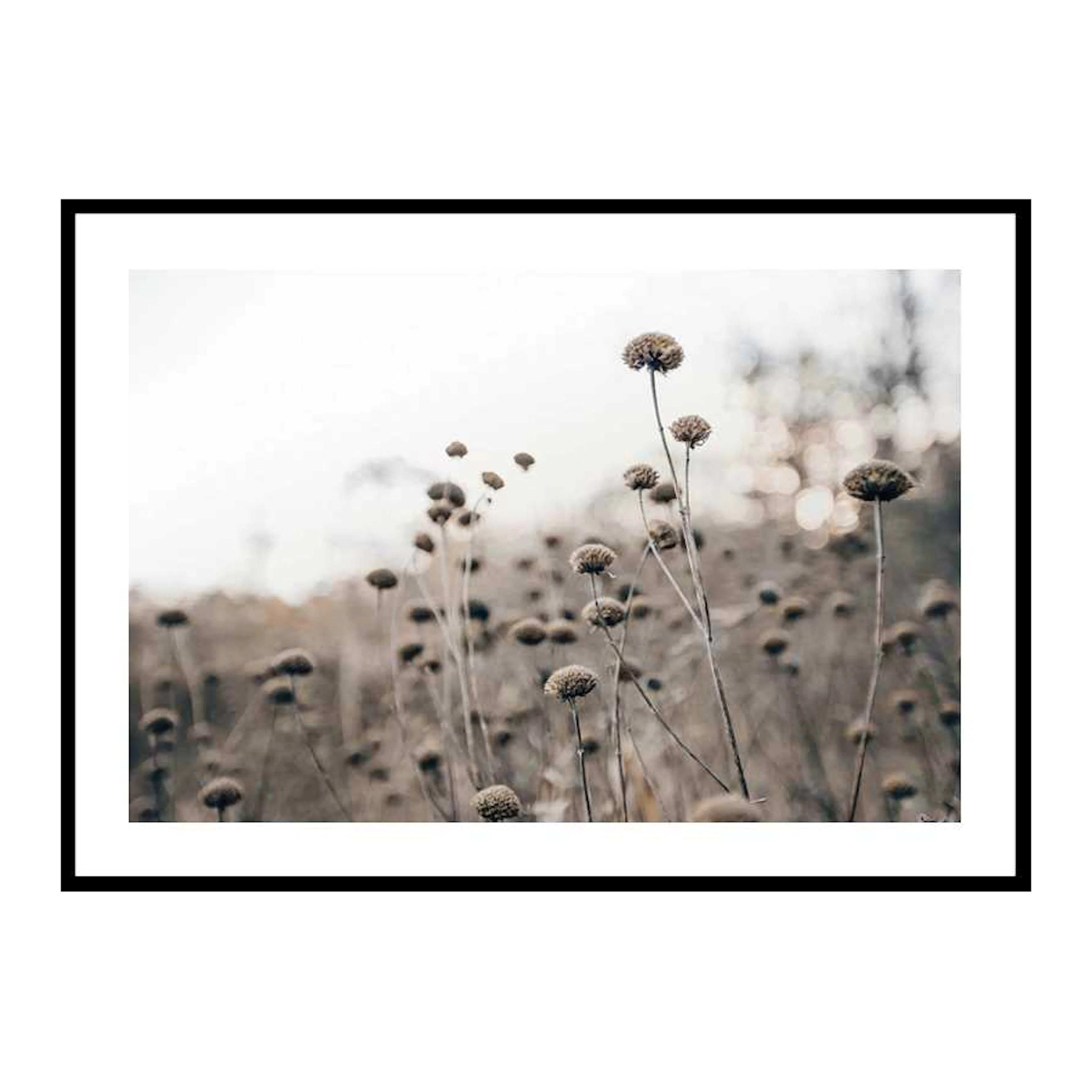 Monochromatic Flowers 70x100 cm