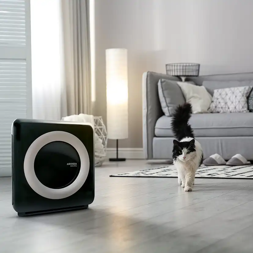 Luftrenare Coway Airmega Mighty