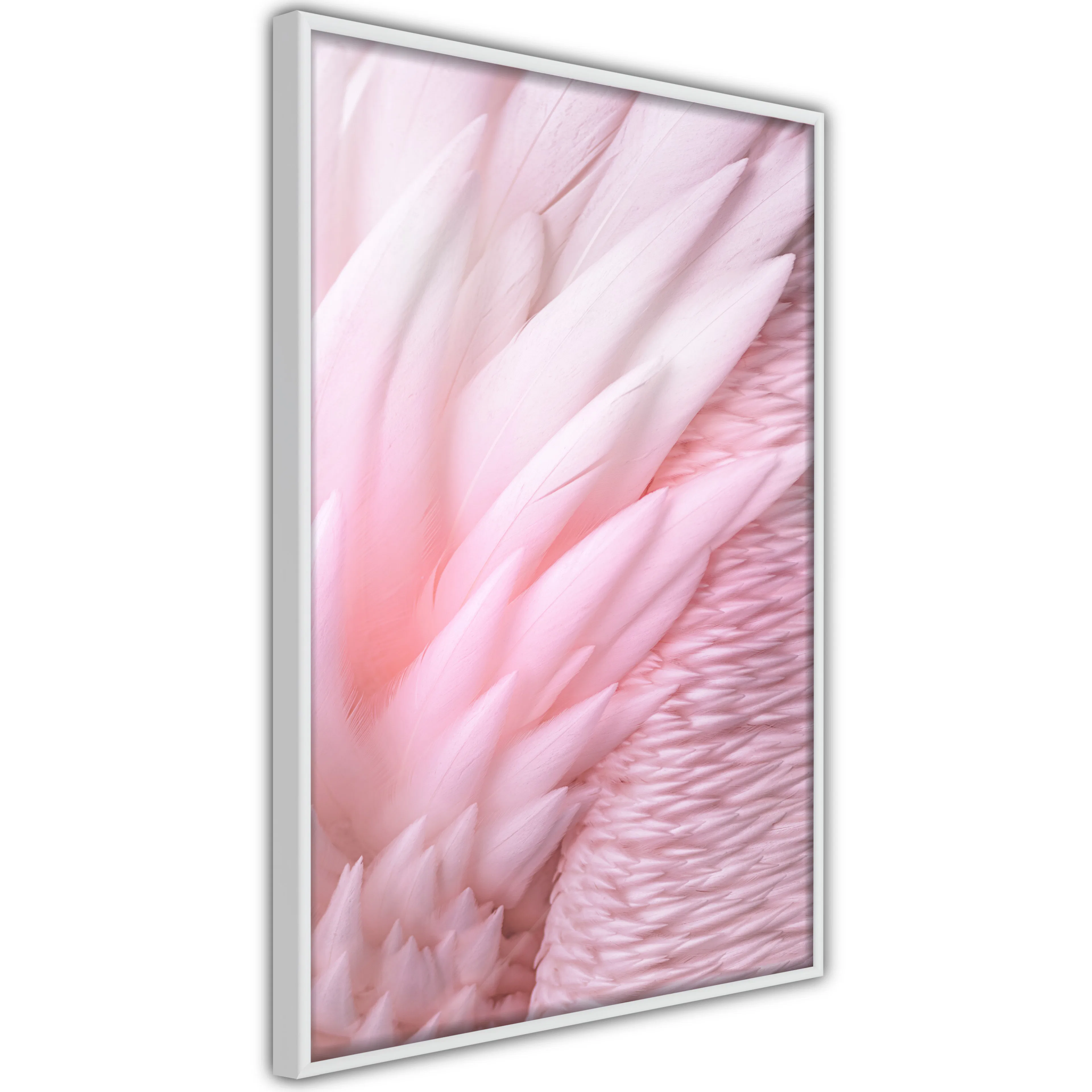 Poster Artgeist Affisch Feathers