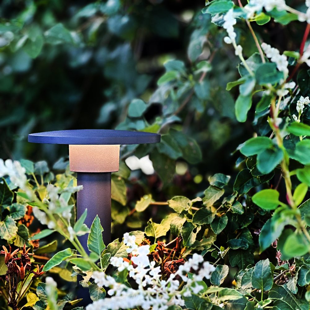 Pollare LightsOn Orbit 65