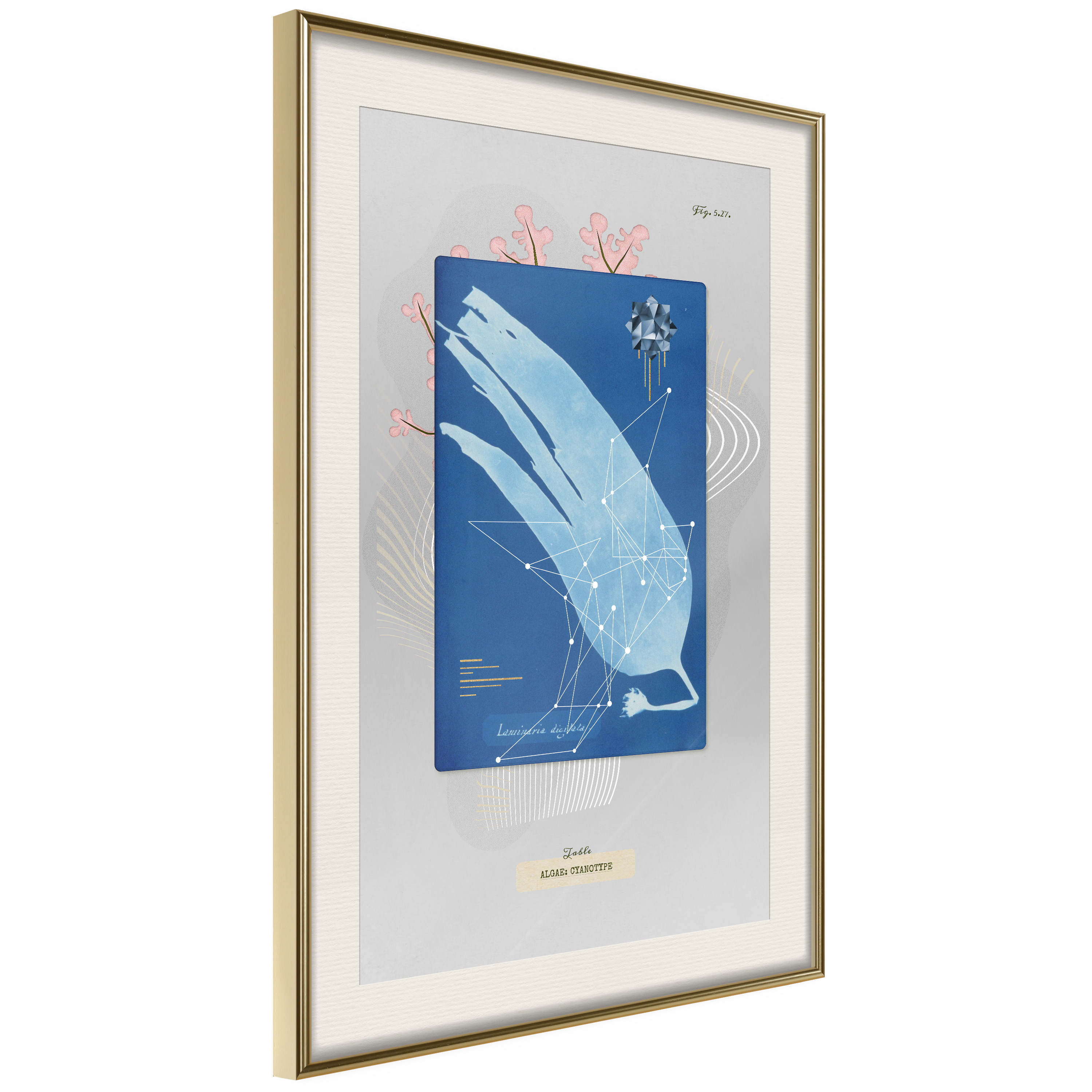 Poster Artgeist Affisch Alga