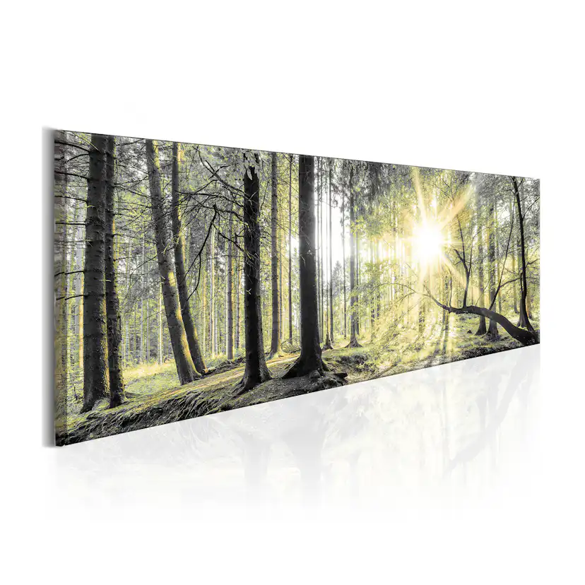 Tavla Arkiio Morning Forest