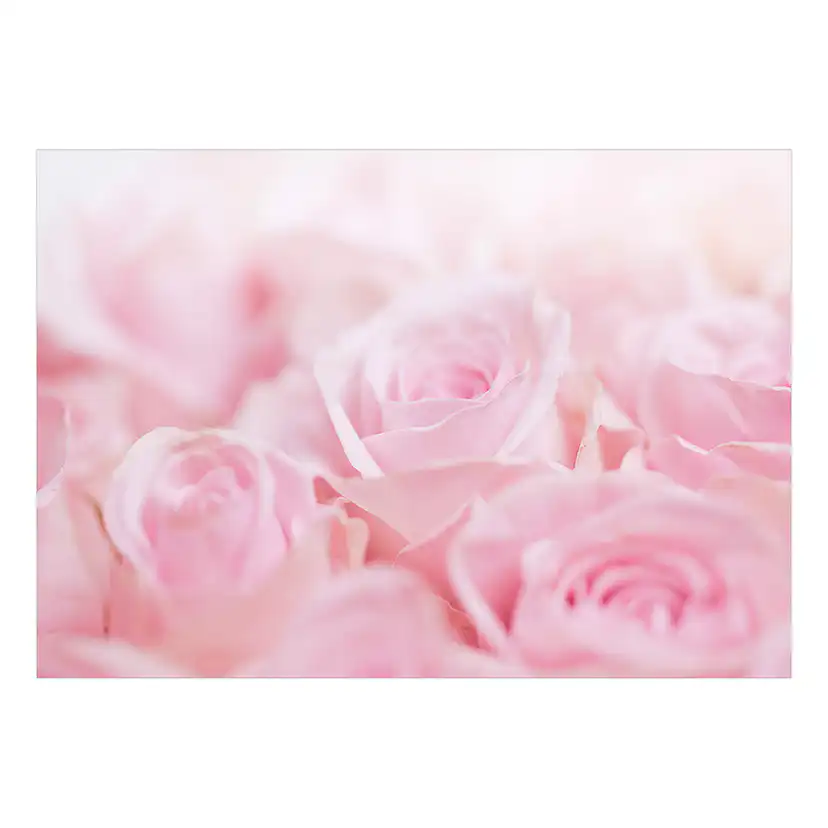 Självhäftande fototapet - Ocean of Roses 98x70 Storlek: 98x70 cm