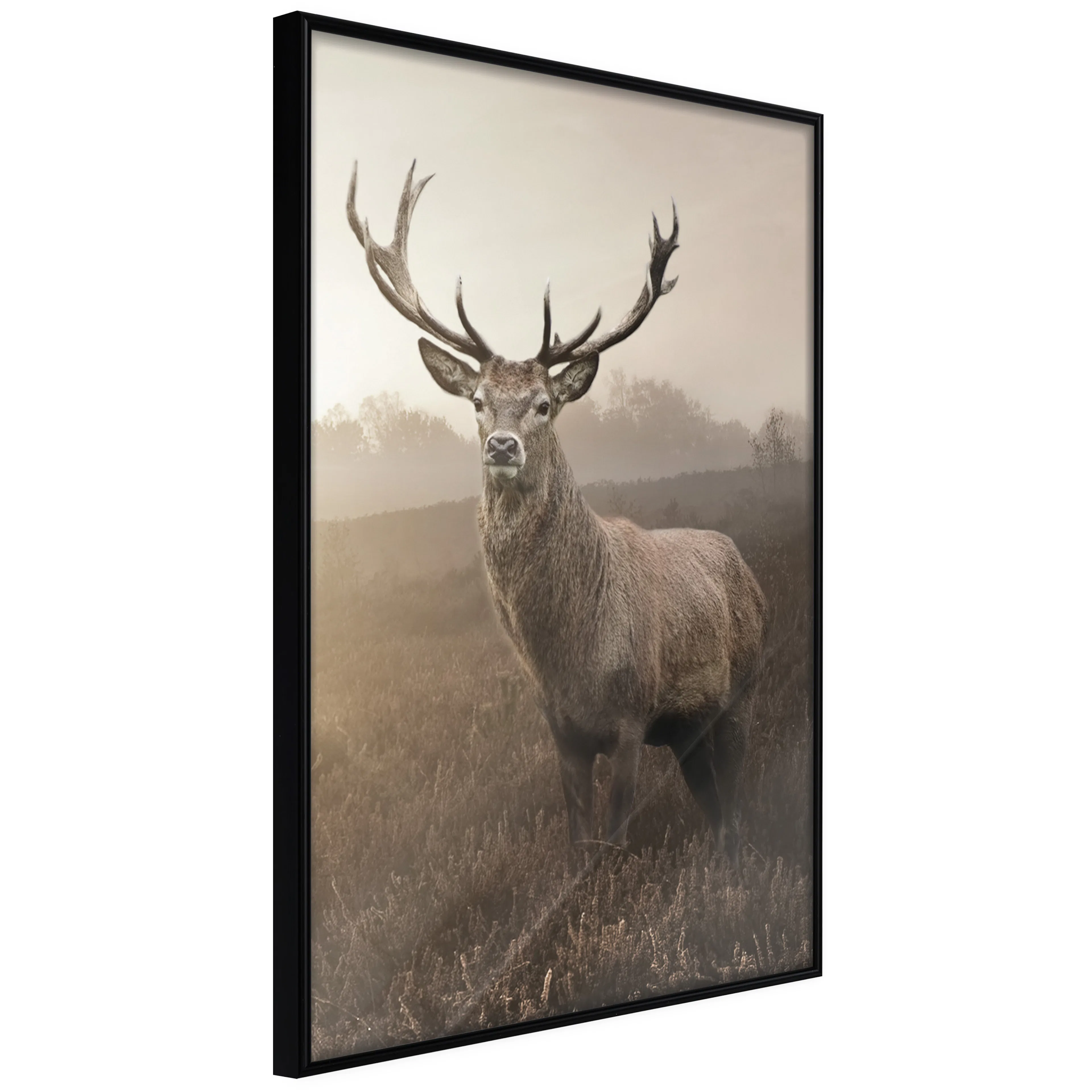 Affisch - Deer in Sepia [Poster] 20x30 Svart ram, 20x30 cm