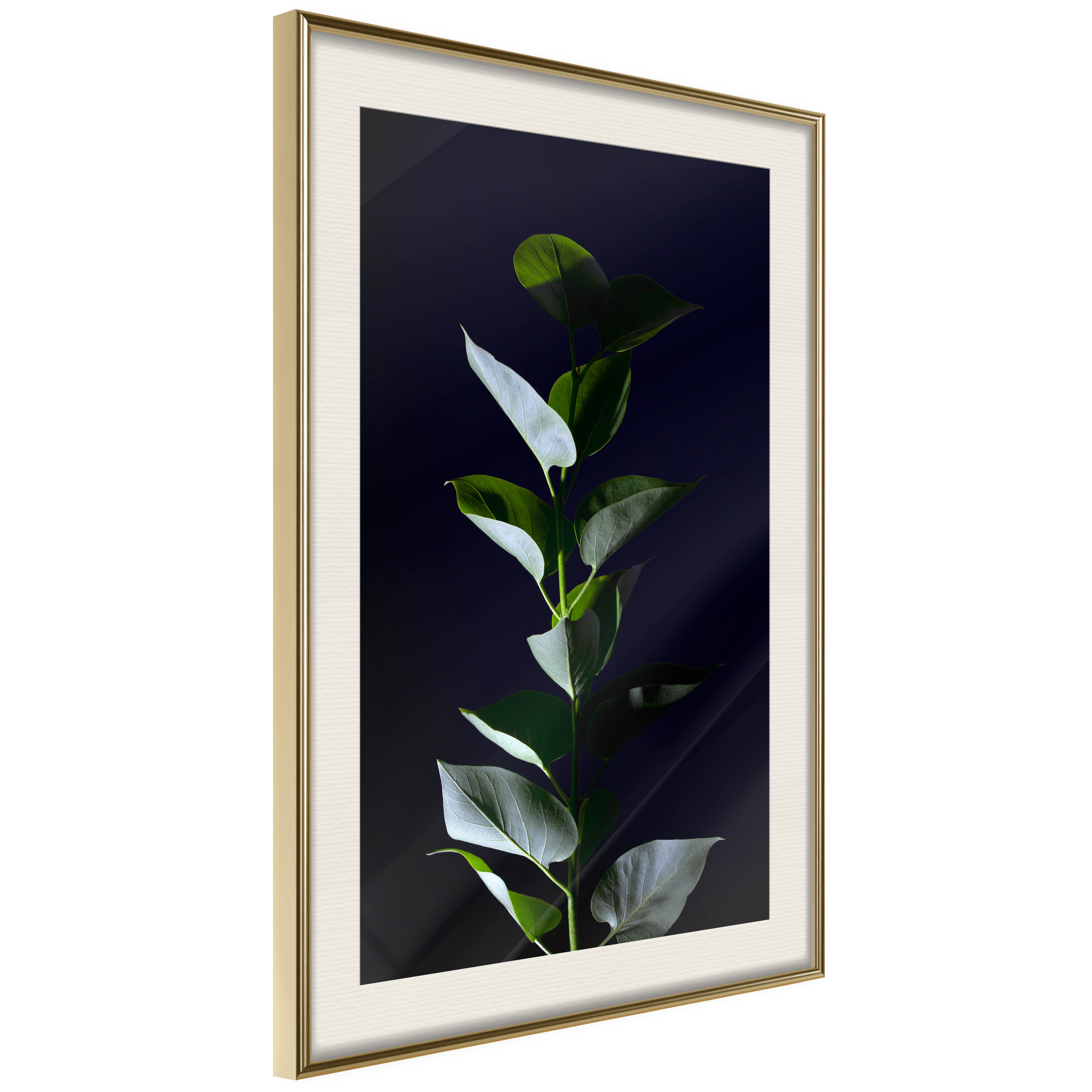 Poster Artgeist Affisch In the Moonlight