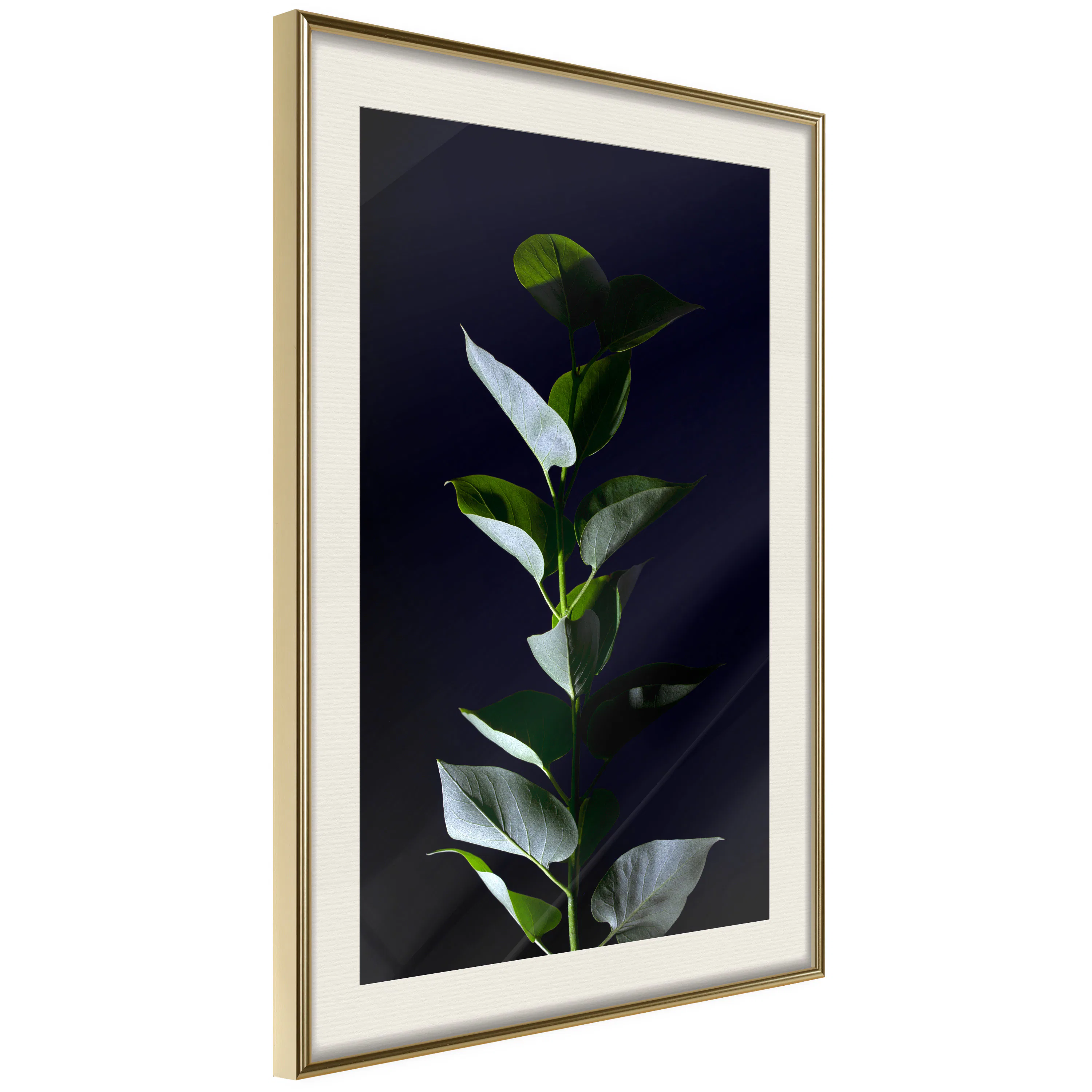 Poster Artgeist Affisch In the Moonlight