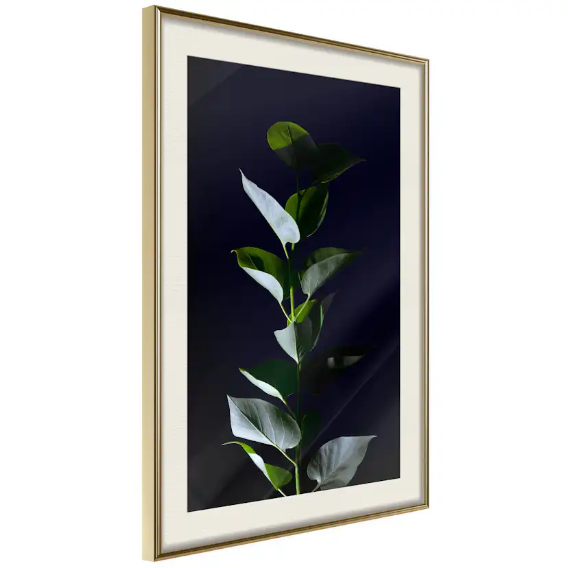 Poster Artgeist Affisch In the Moonlight