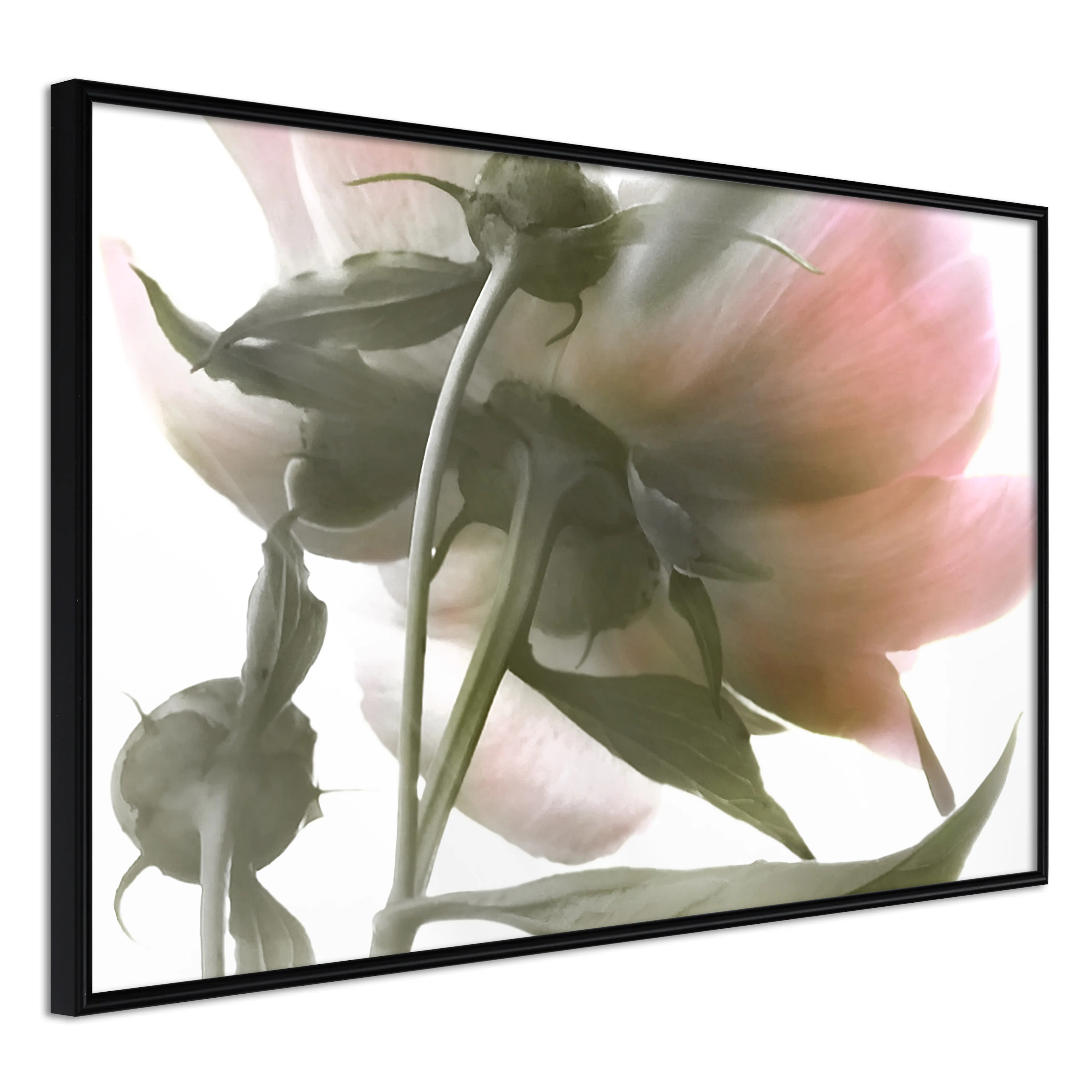 Affisch - Her Highness [Poster] 30x20 Svart ram, 30x20 cm