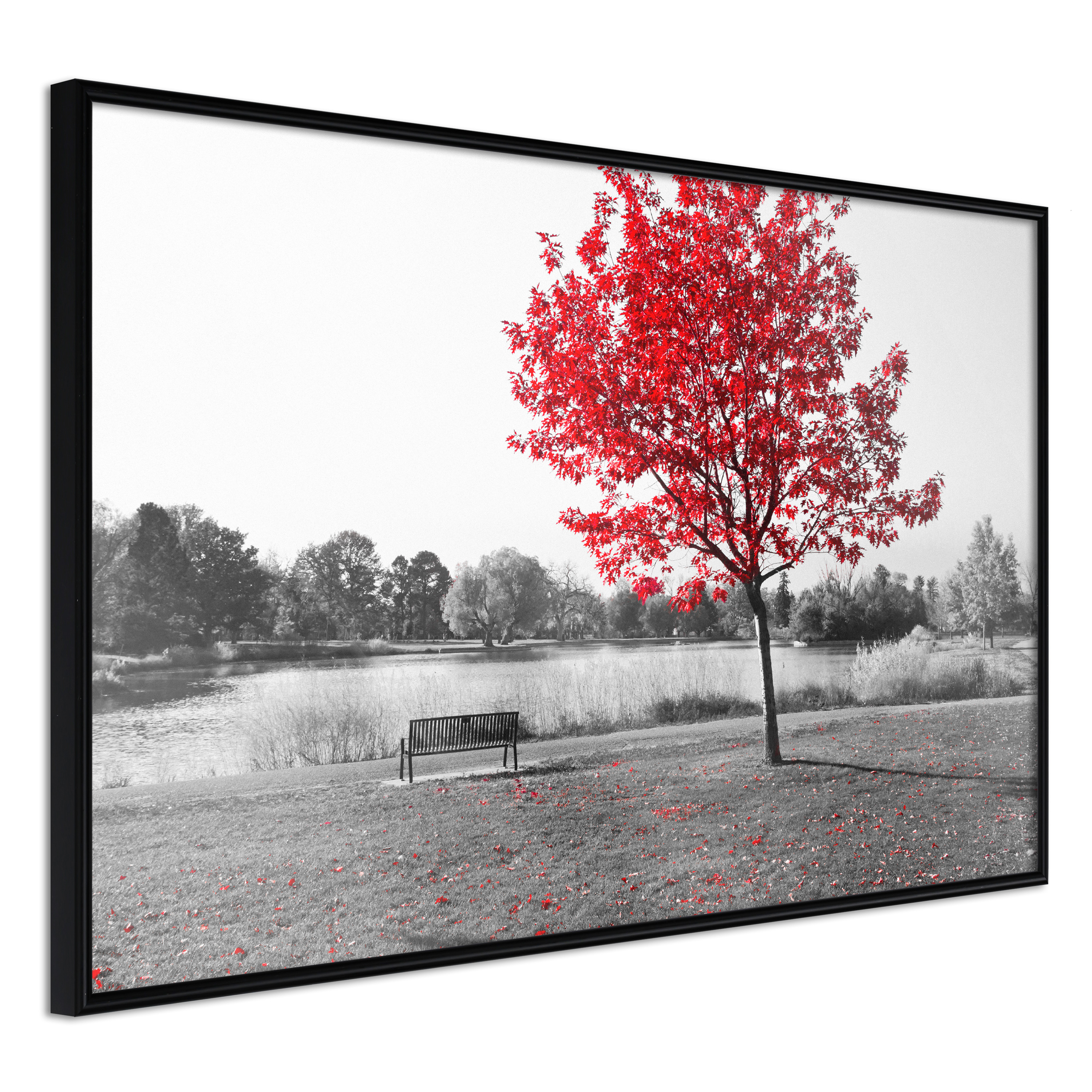 Affisch - Red Tree [Poster] 45x30 Svart ram, 45x30 cm