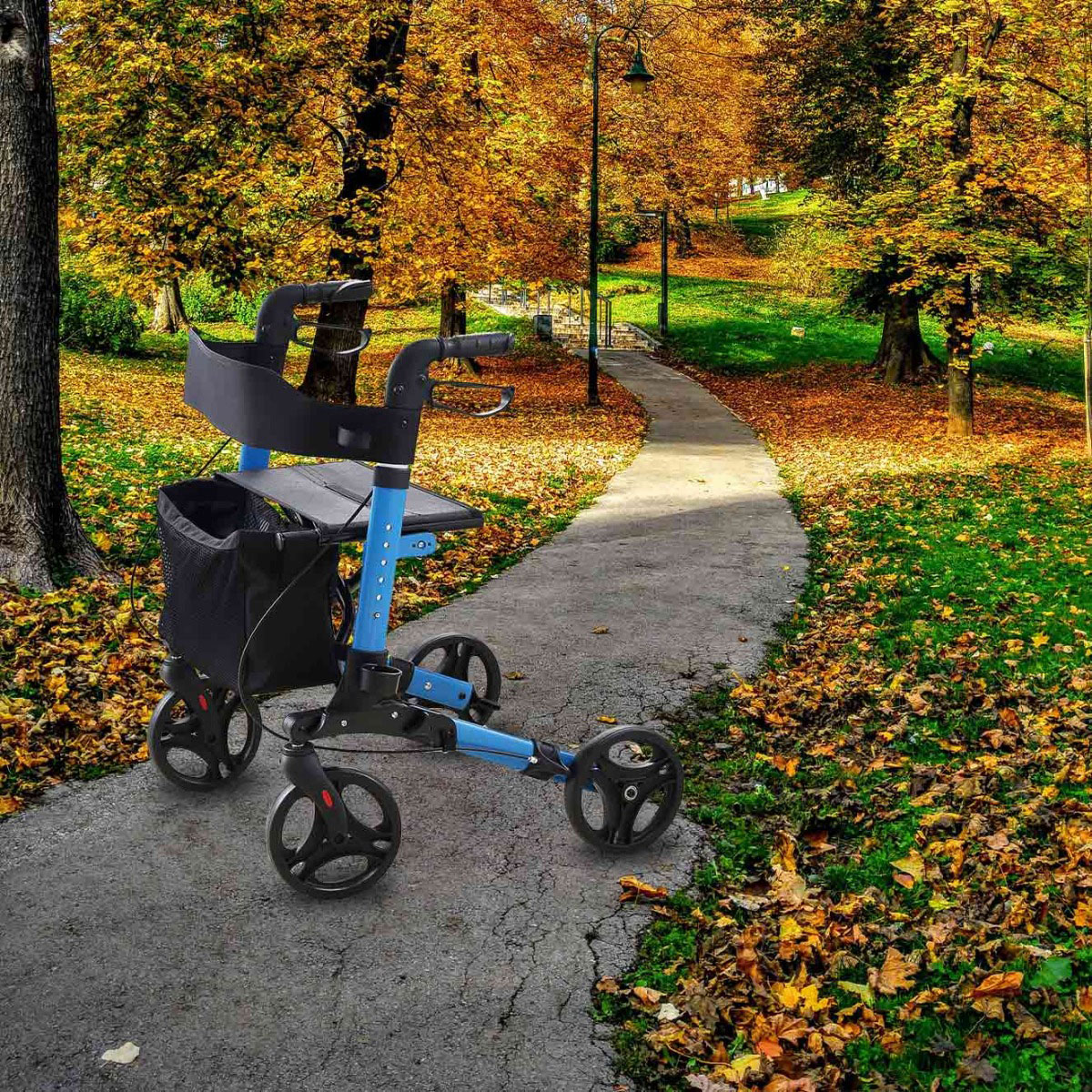 Arvo Rollator Deluxe Flerfärgad