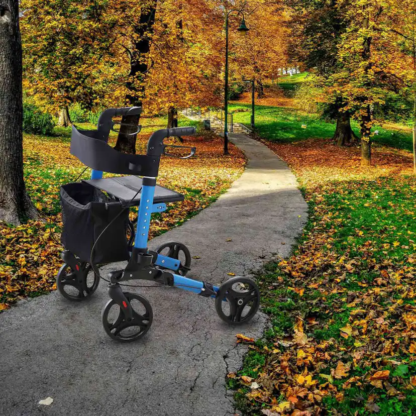 Arvo Rollator Deluxe Flerfärgad