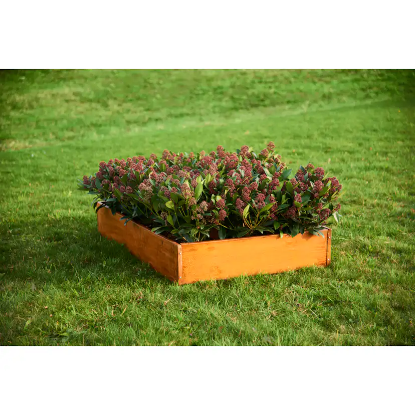 Odlingskrage Grouw Rostig 120X80X19 cm