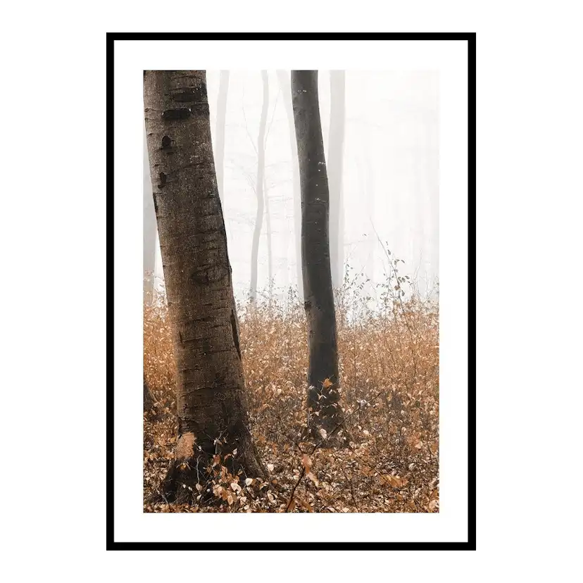 Poster Gallerix Forest Ground