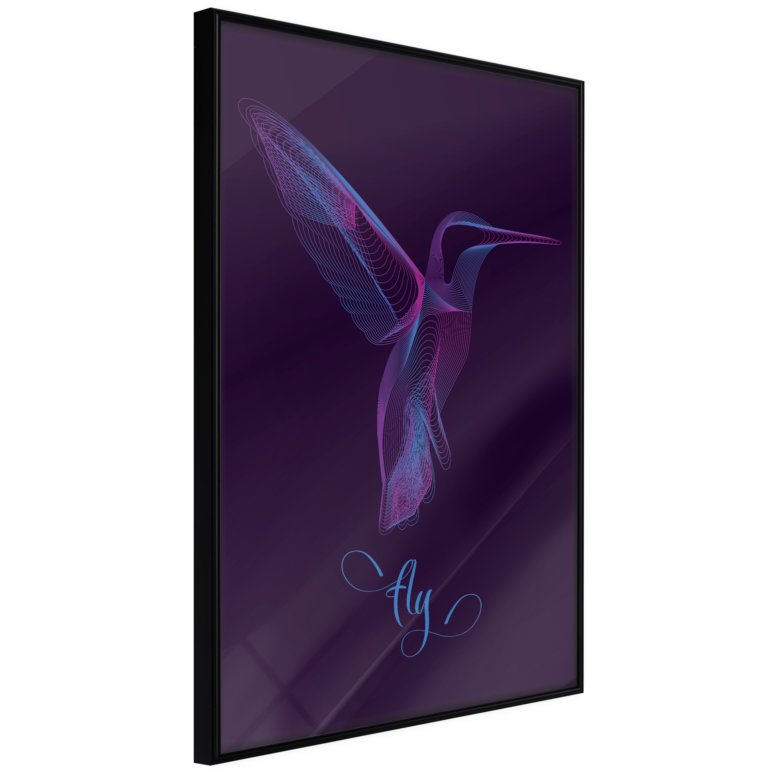 Affisch - Purple Hummingbird [Poster] 20x30 Svart ram, 20x30 cm