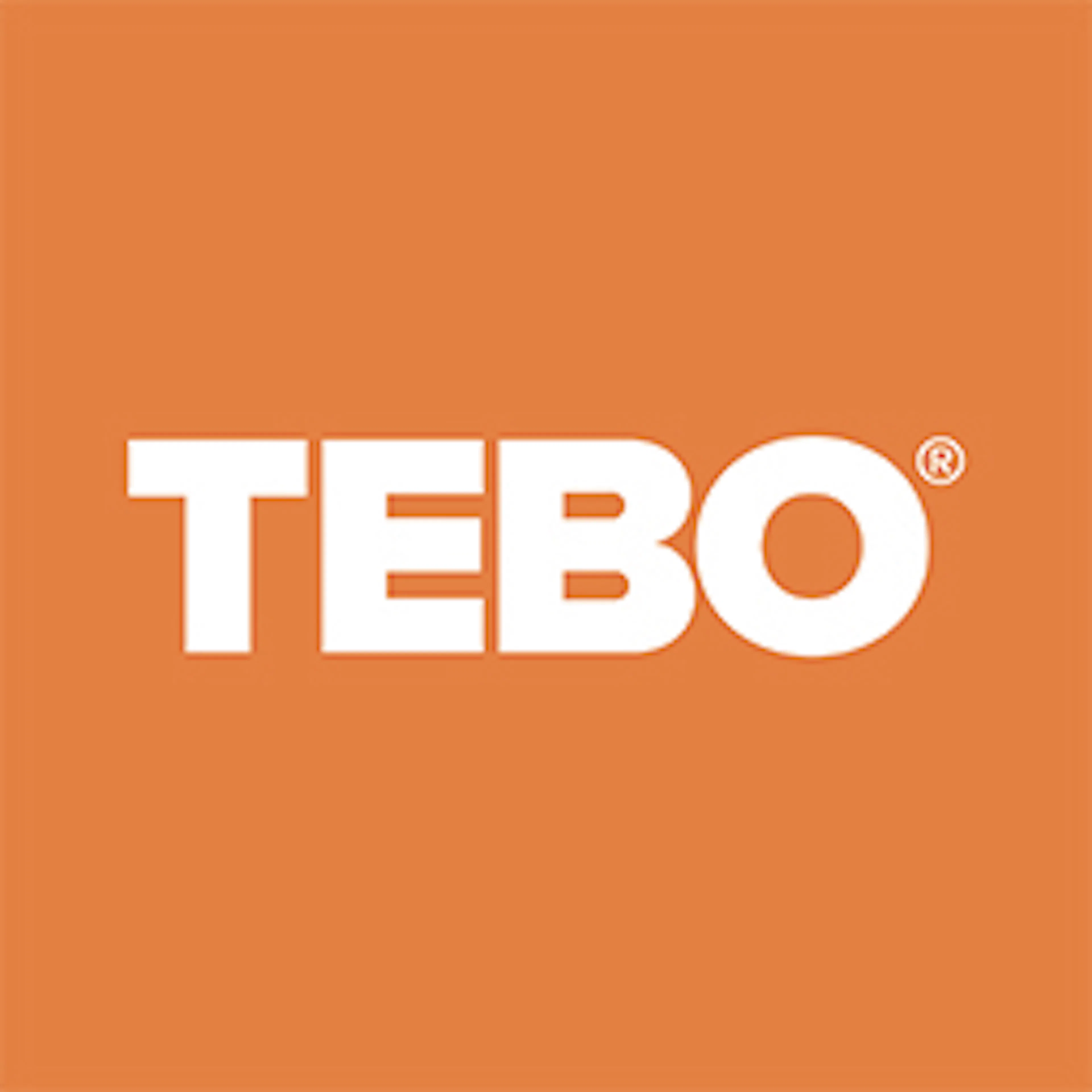 Tebo logo