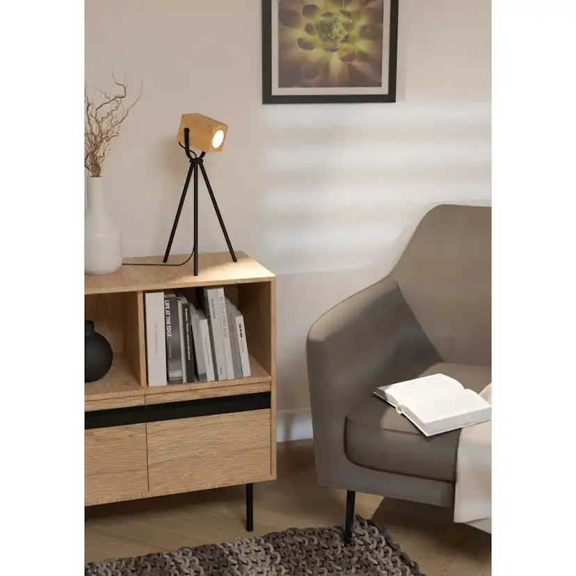 Bordslampa Eglo Ayles