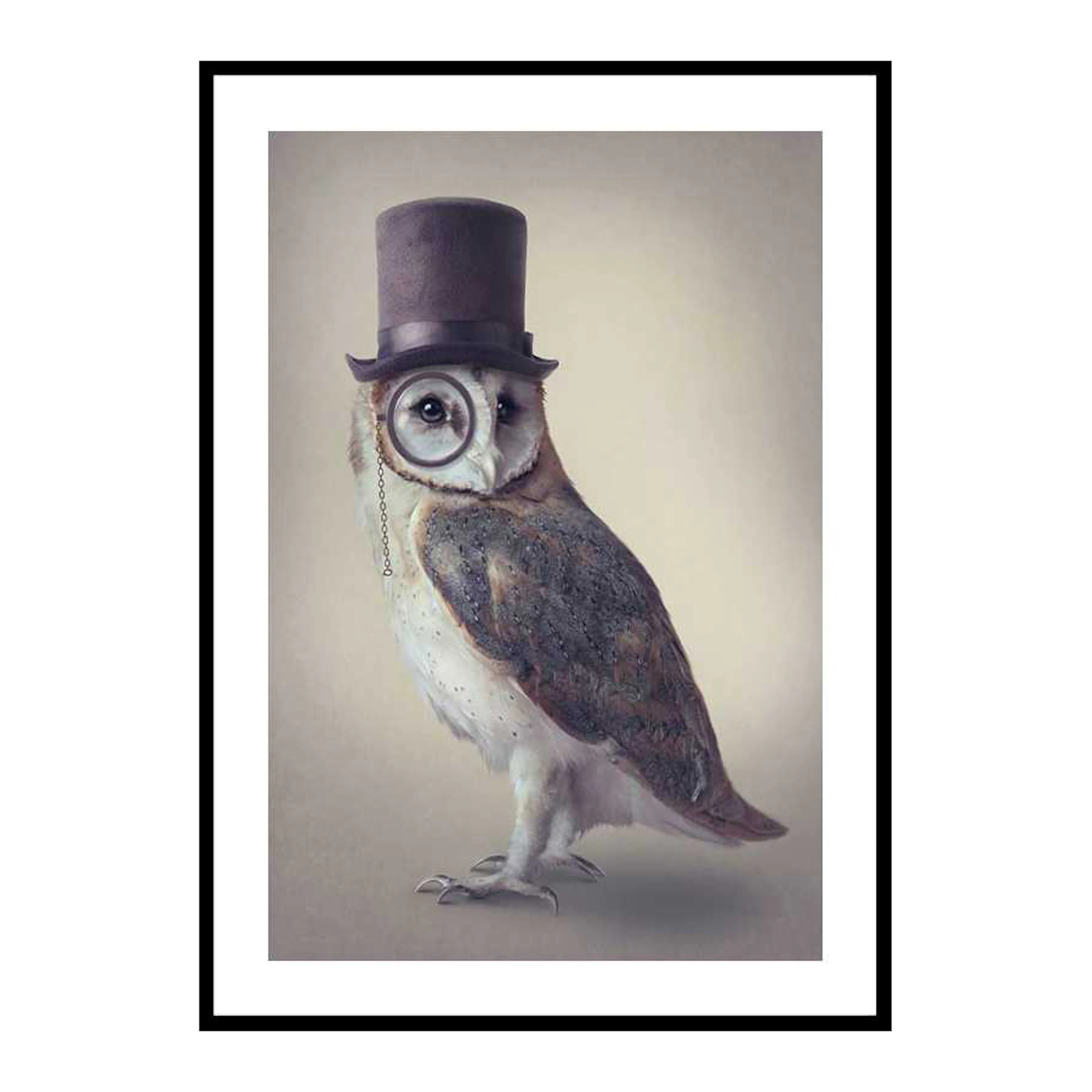 Potter Owl 70x100 cm