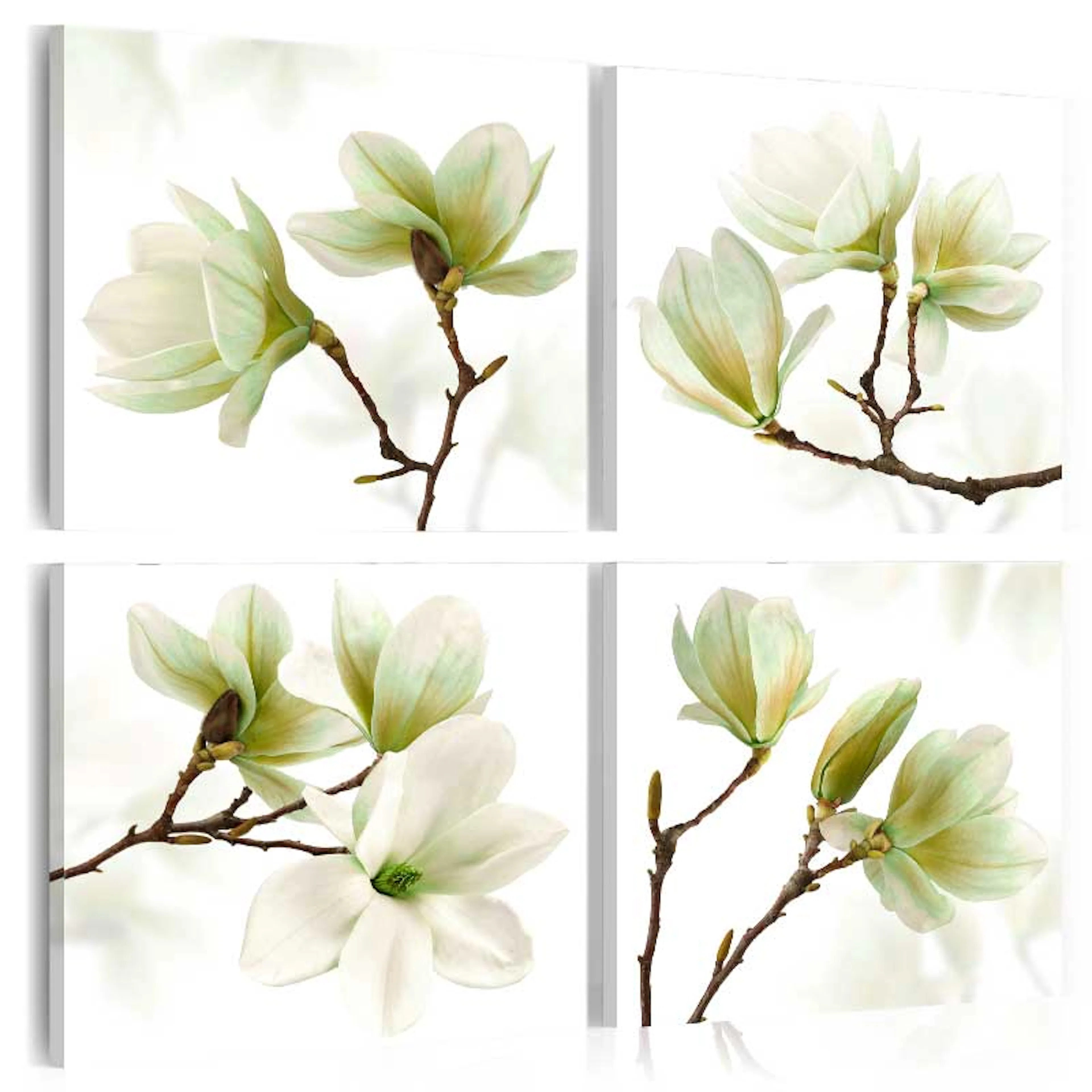 Tavla Arkiio Admiration Of Magnolia