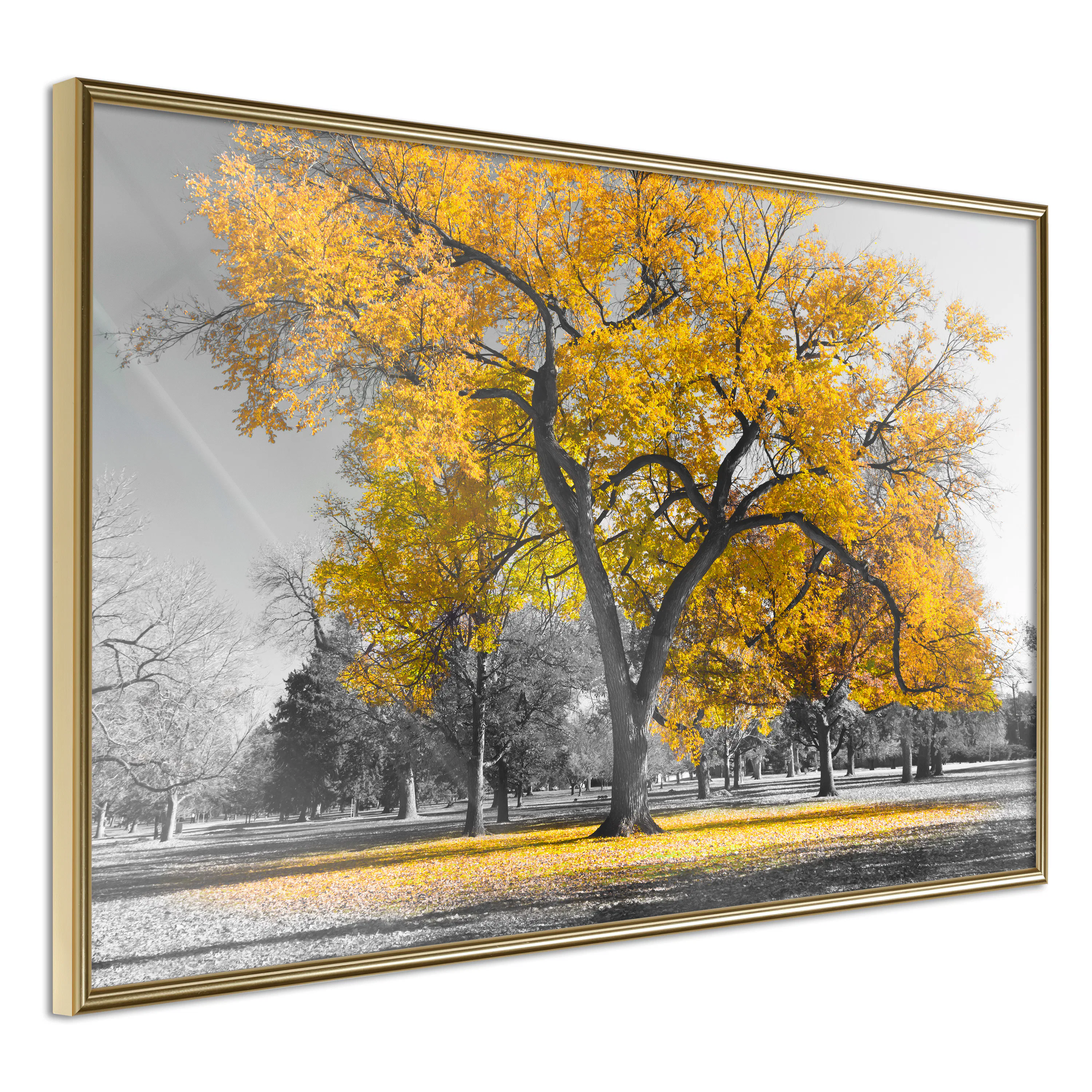 Poster Artgeist Affisch Autumn in the Park Gold