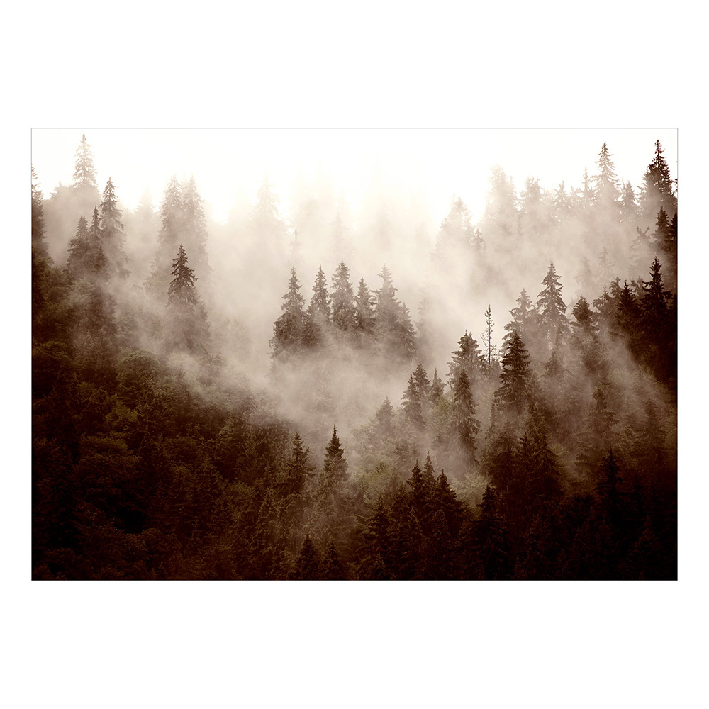 Fototapet Arkiio Mountain Forest (Sepia) Självhäftande