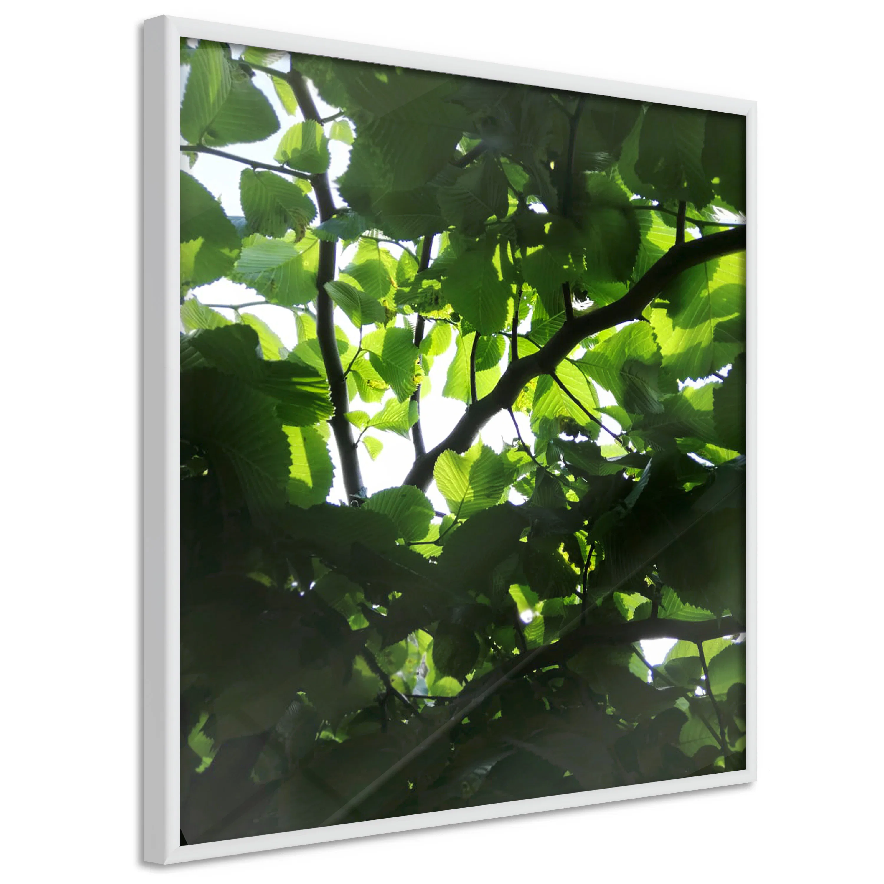 Poster Artgeist Affisch Dawn