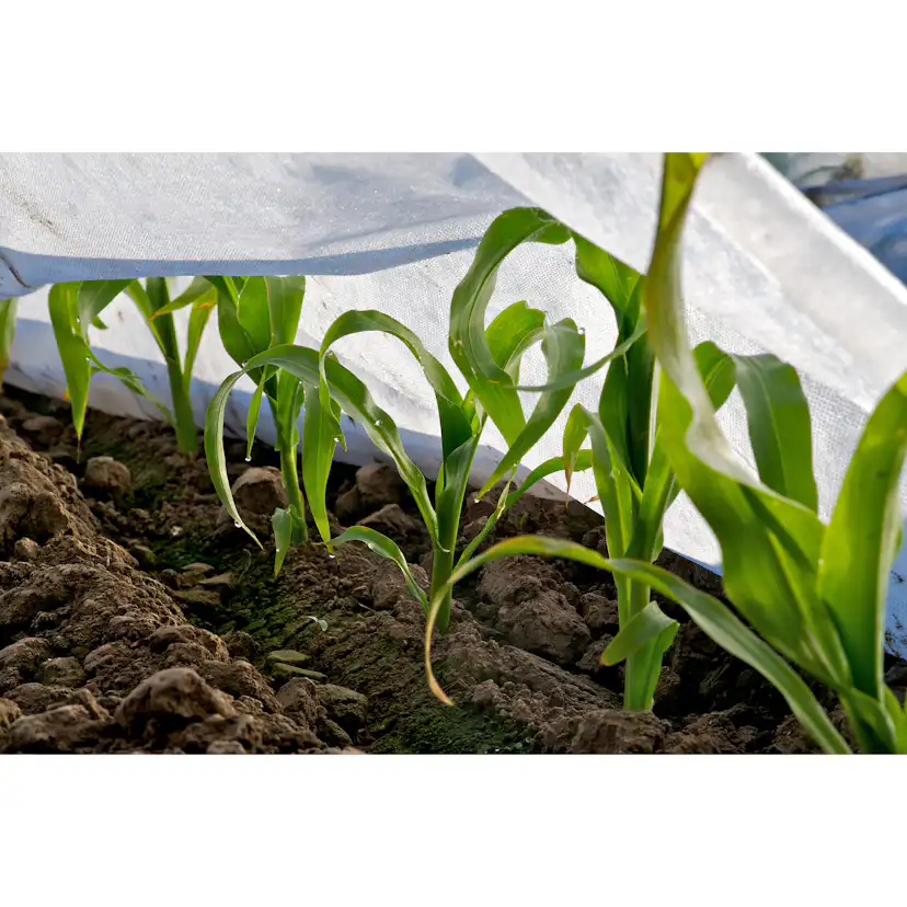 Agrimpex Fiberduk Storlek: 1,6x20 m