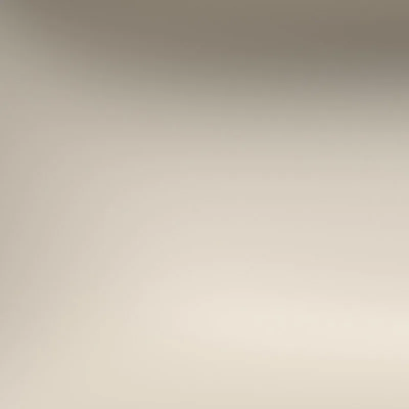 Warm Grey 10