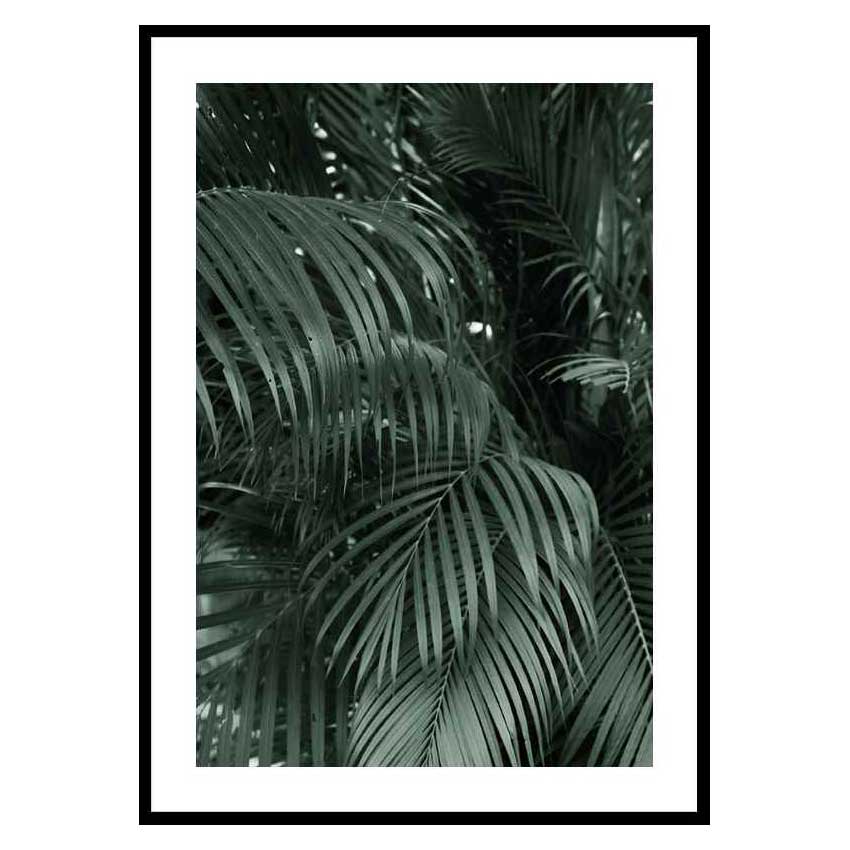 Poster Gallerix Palm Leaf No2