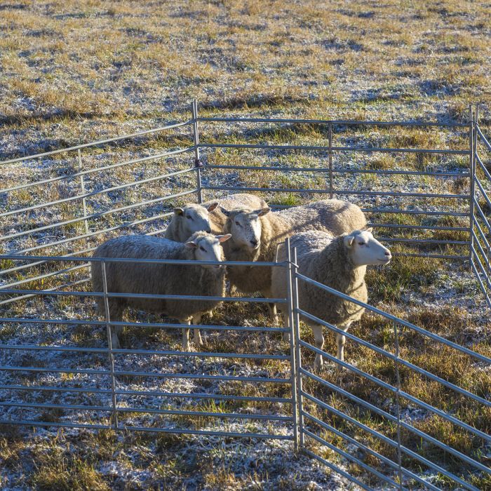 Fårgrind Kellfri 2,0 m