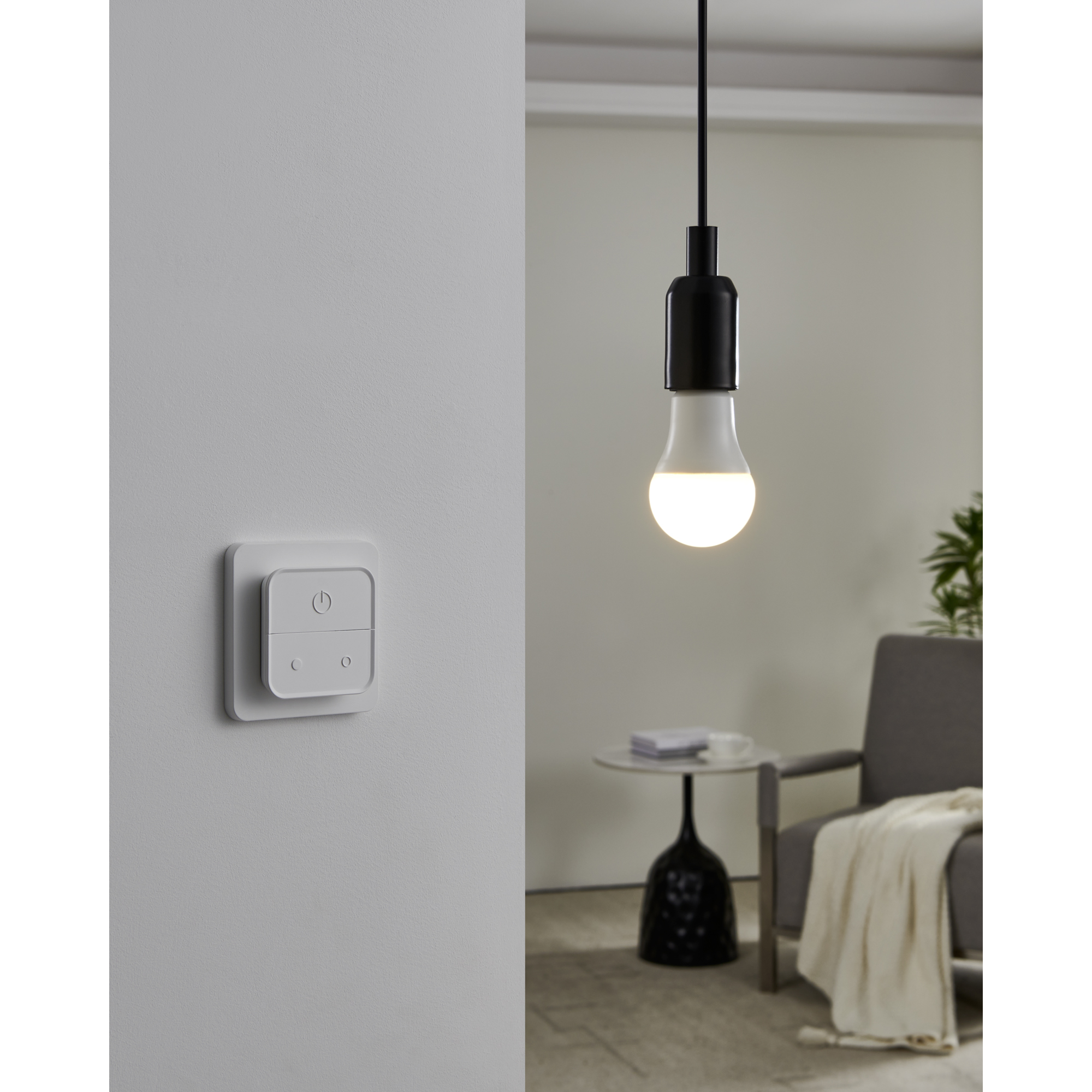 Ljuskälla Eglo 2xLM-ZIG-RGB/CCT E27 A60 9W Brytare