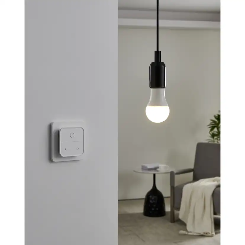 Ljuskälla Eglo 2xLM-ZIG-RGB/CCT E27 A60 9W Brytare