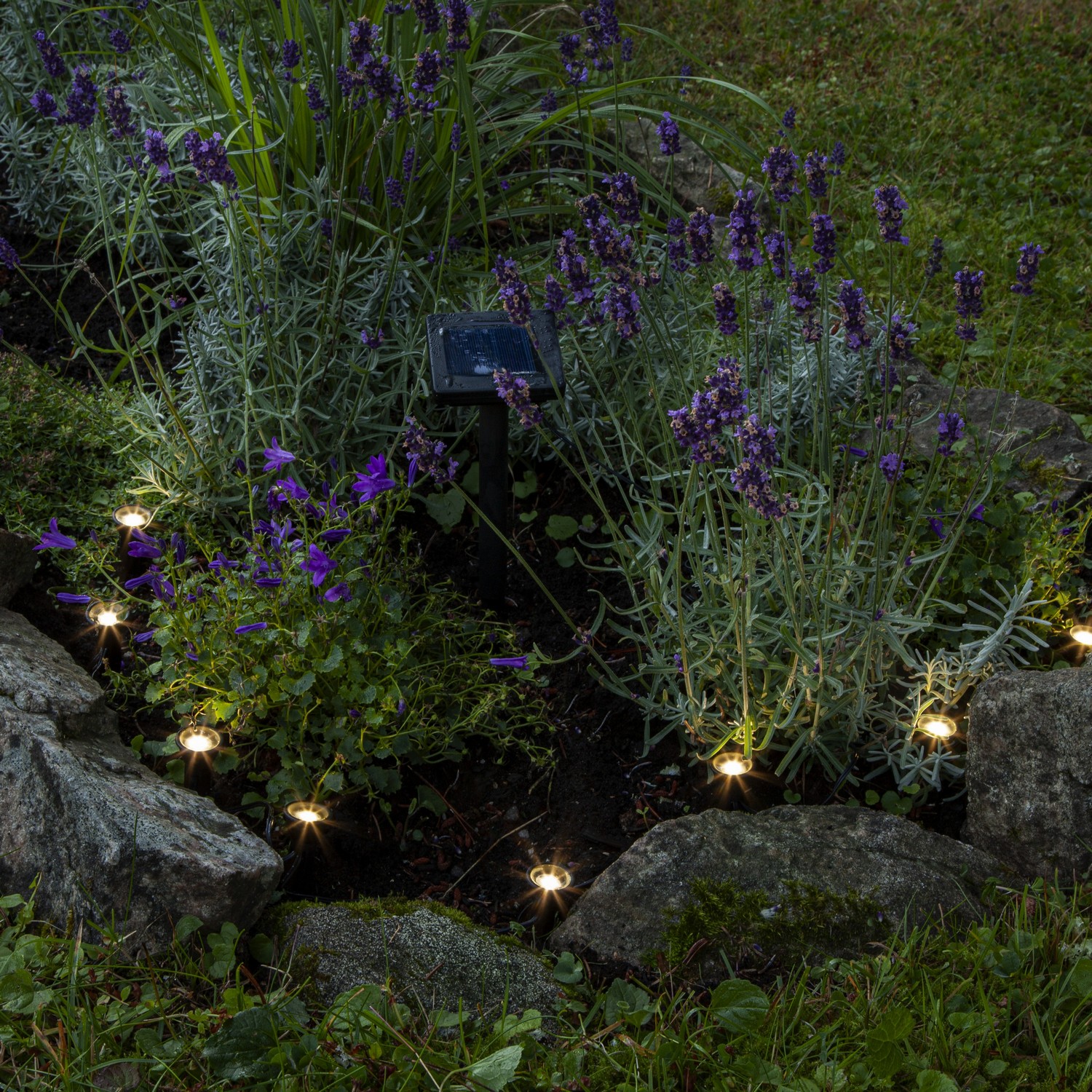 SolcellsLjusslinga Star Trading Mini Spot8 L25Lm