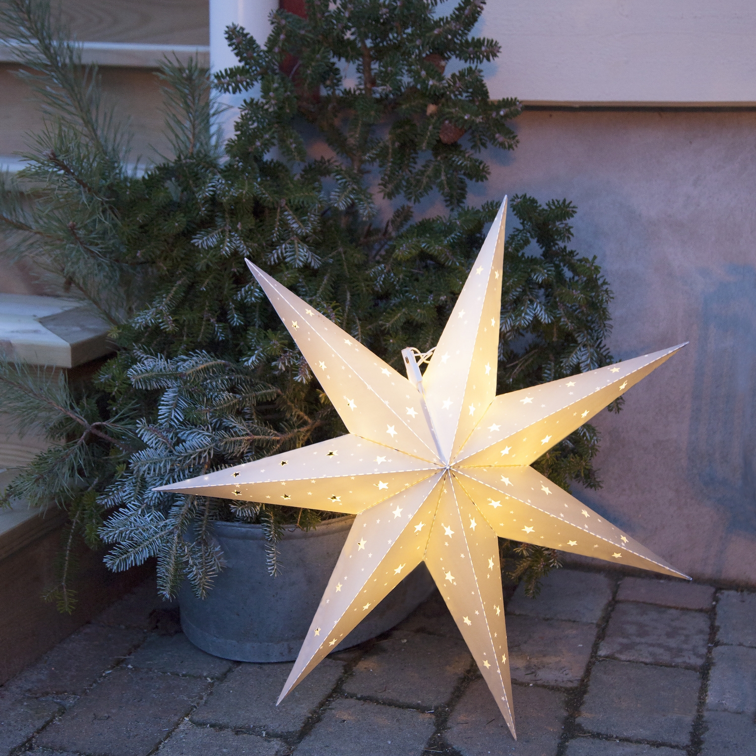 Adventsstjärna Star Trading Alice