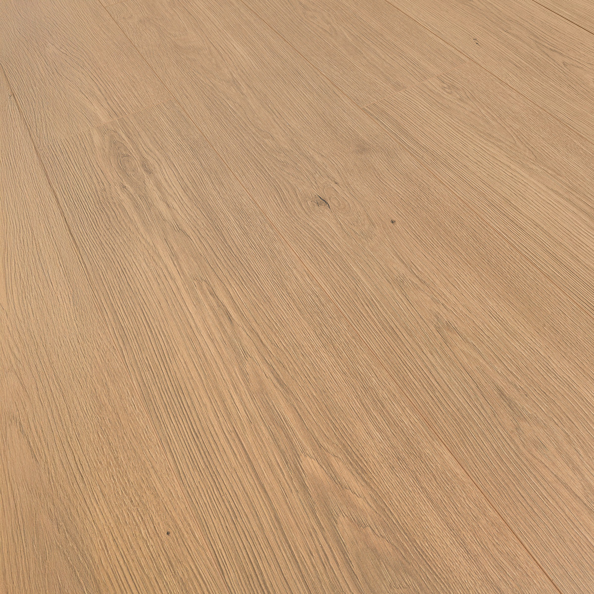 Laminatgolv Tenfors Oak Toffee 8 mm, 1-stav