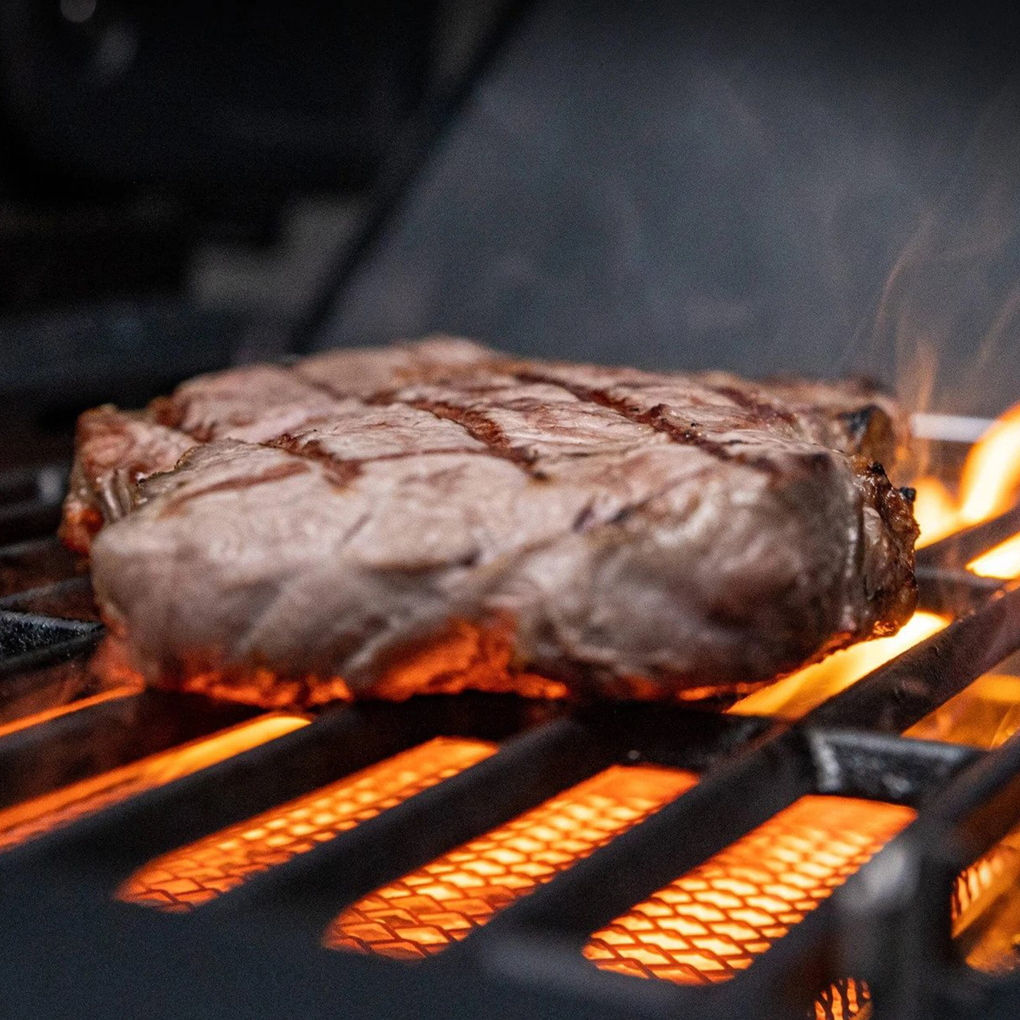 Gasolgrill Landmann Triton maxX PTS 3.1 Stainless Steel