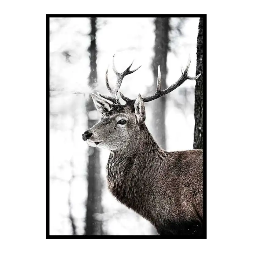 Poster Gallerix Stag In Forest