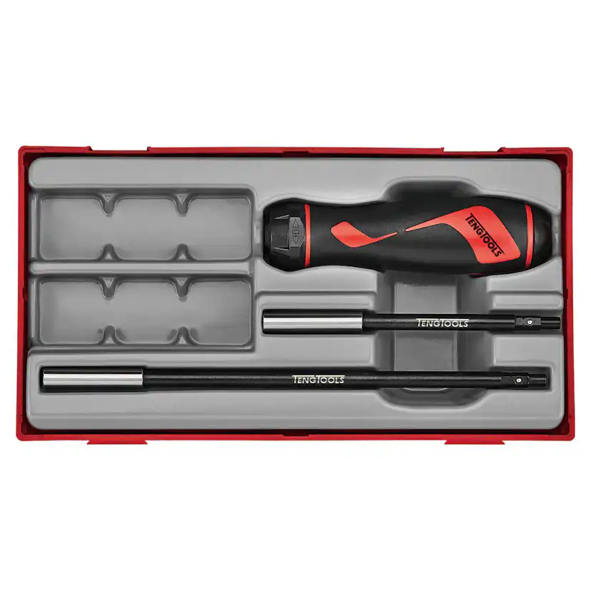 Bitsspärrskruvmejselsats Teng Tools TTRSD15