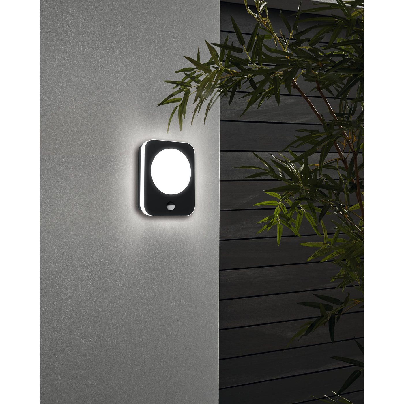 Vägglampa Utebelysning Eglo Madriz med Sensor