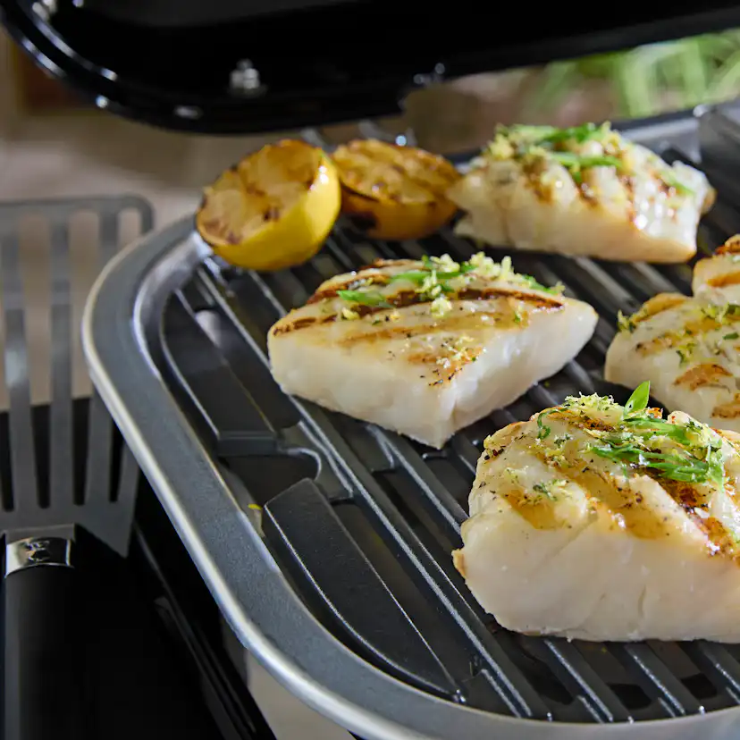 Elgrill Weber Lumin Compact Smart