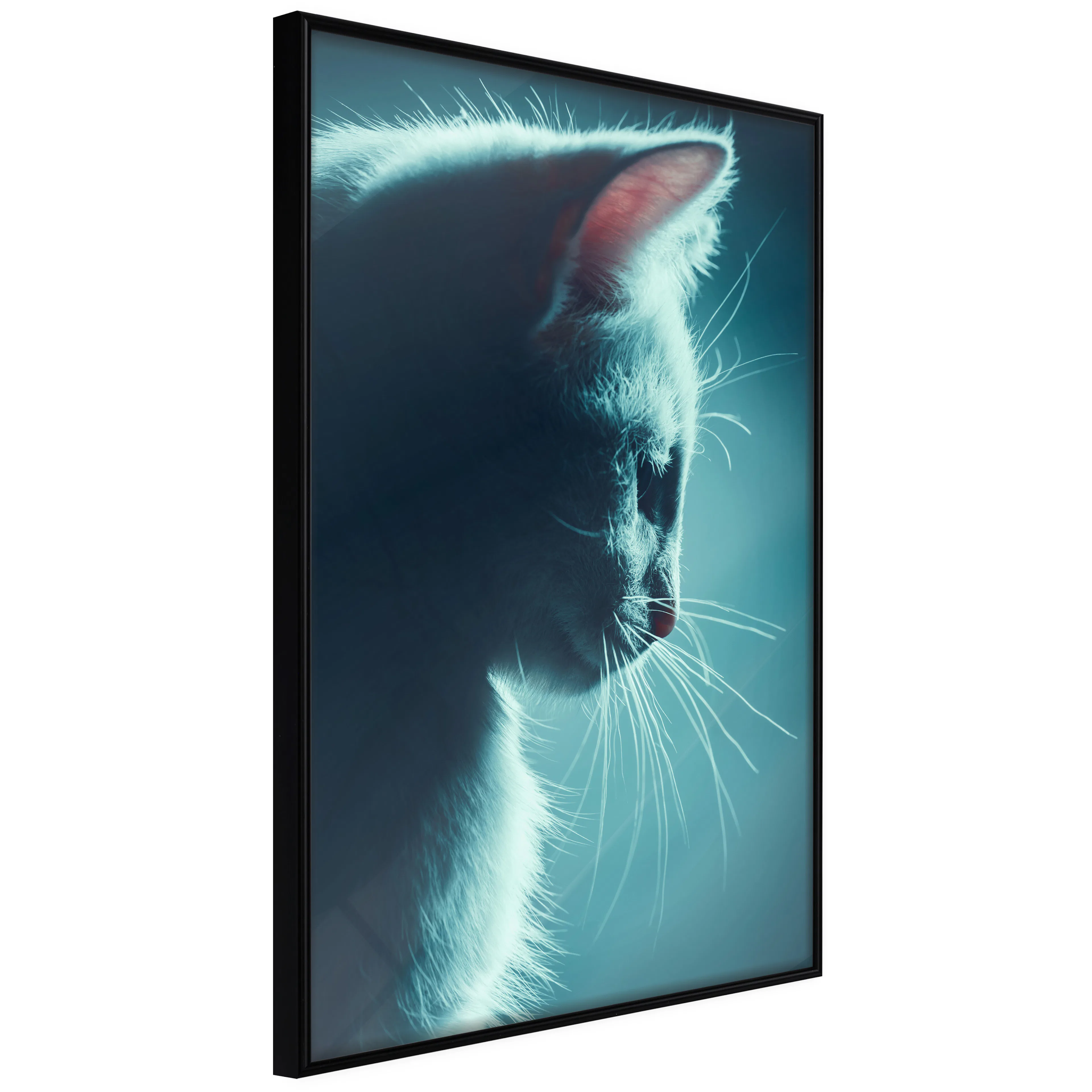 Affisch - Night Tramp [Poster] 40x60 Svart ram, 40x60 cm