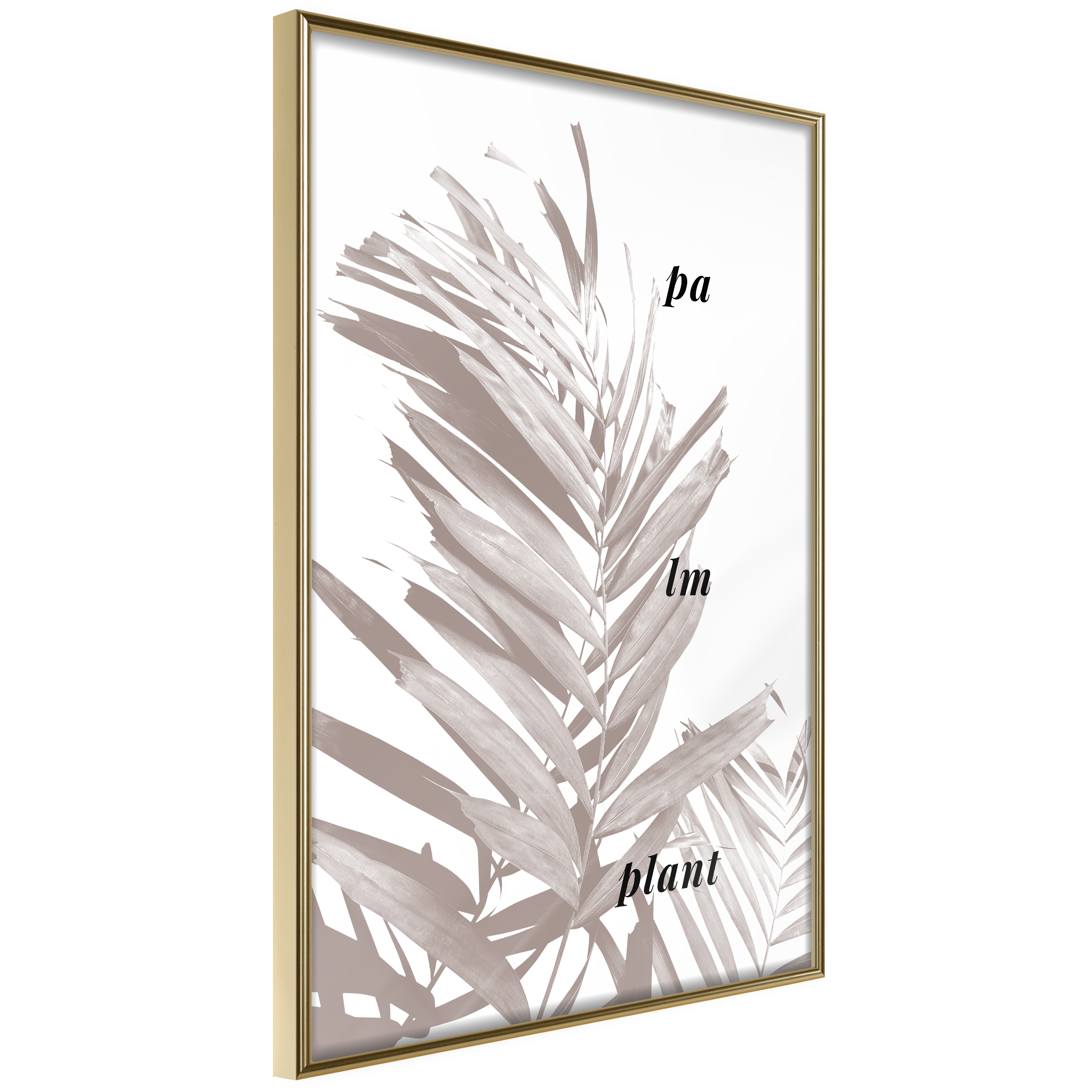 Poster Artgeist Affisch Palm Plant